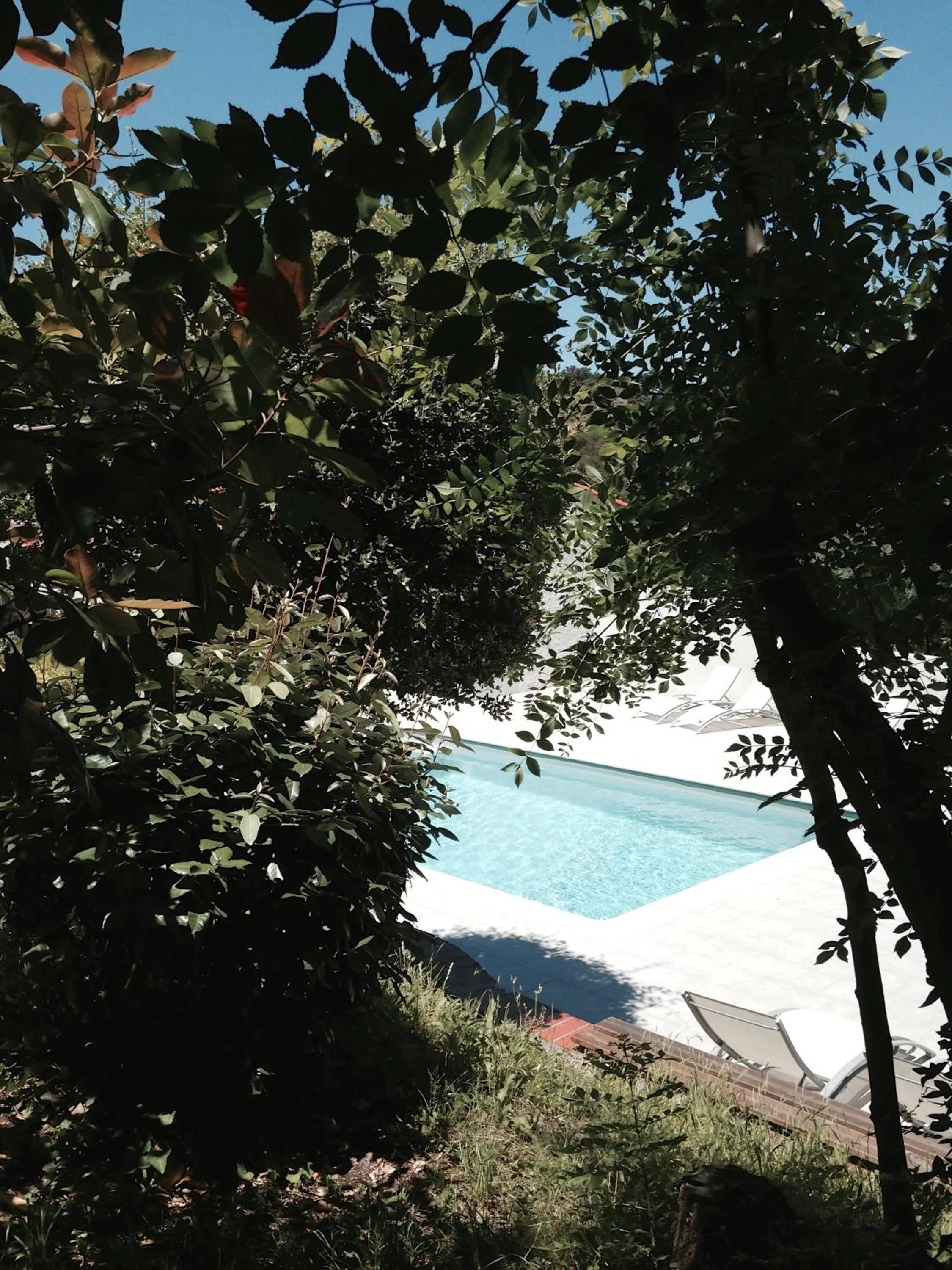 Garden view in Le Relais Des Chartreuses