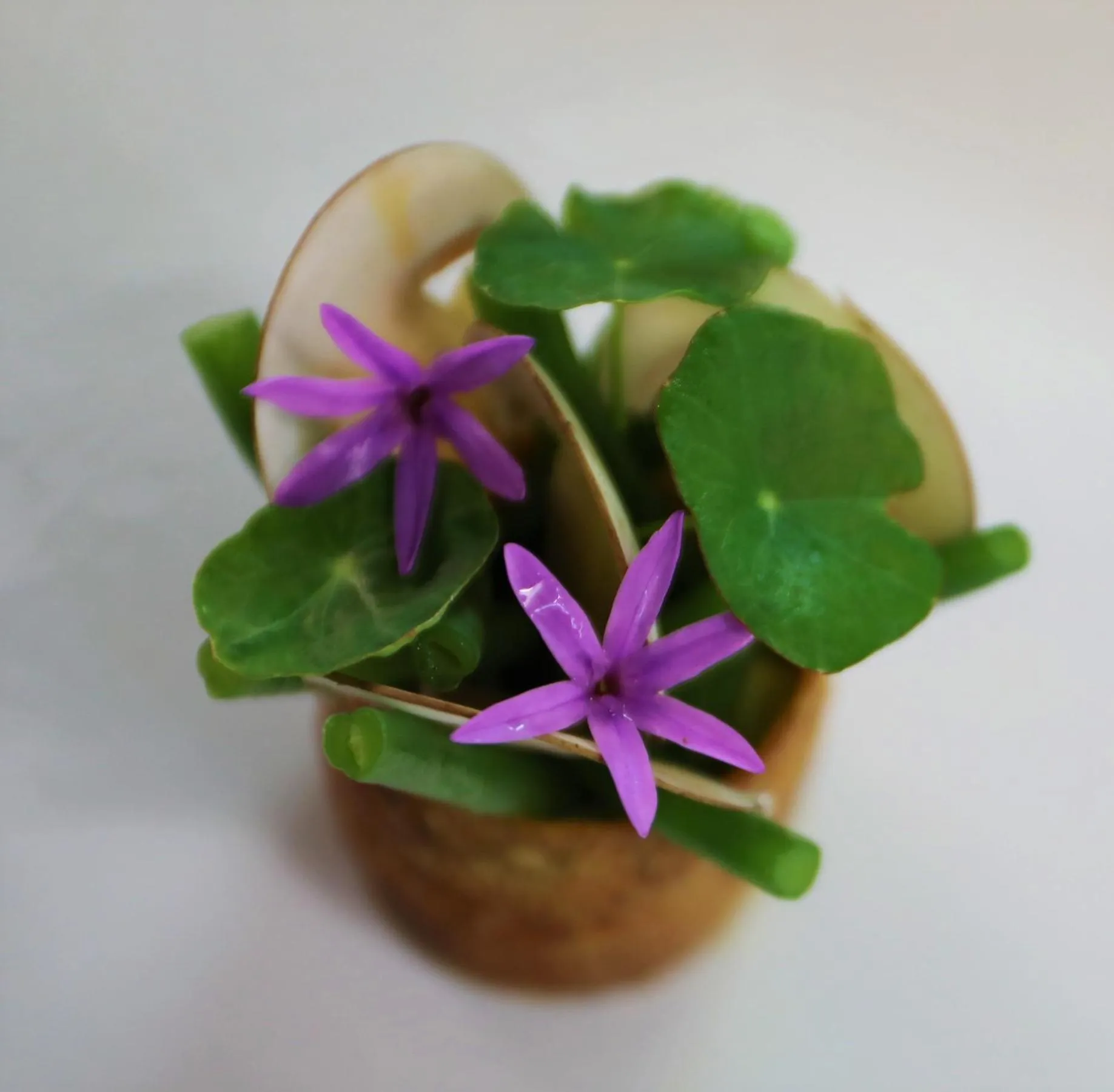 Food in Les Glycines - Hôtel & Spa - Teritoria