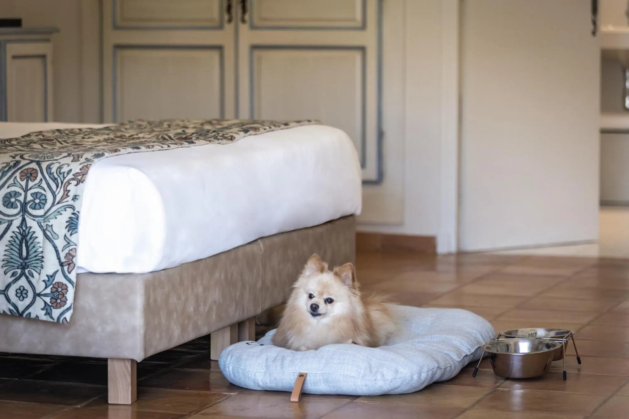 Pets in Mas de l'Oulivié