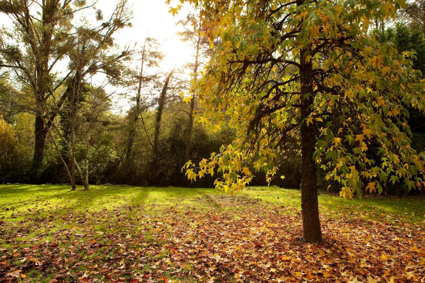 Facade/entrance in L'Aubinière Hôtel Restaurant & Spa