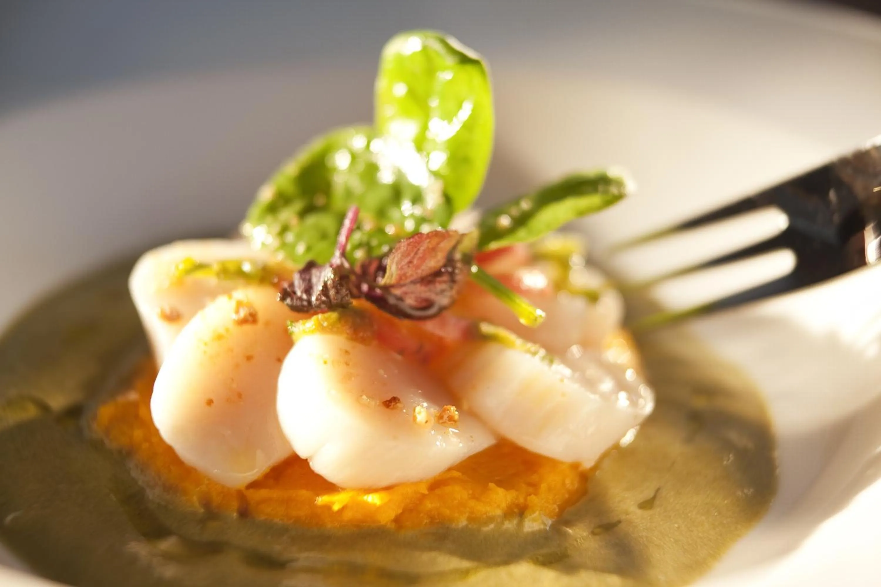 Lunch in L'Aubinière Hôtel Restaurant & Spa