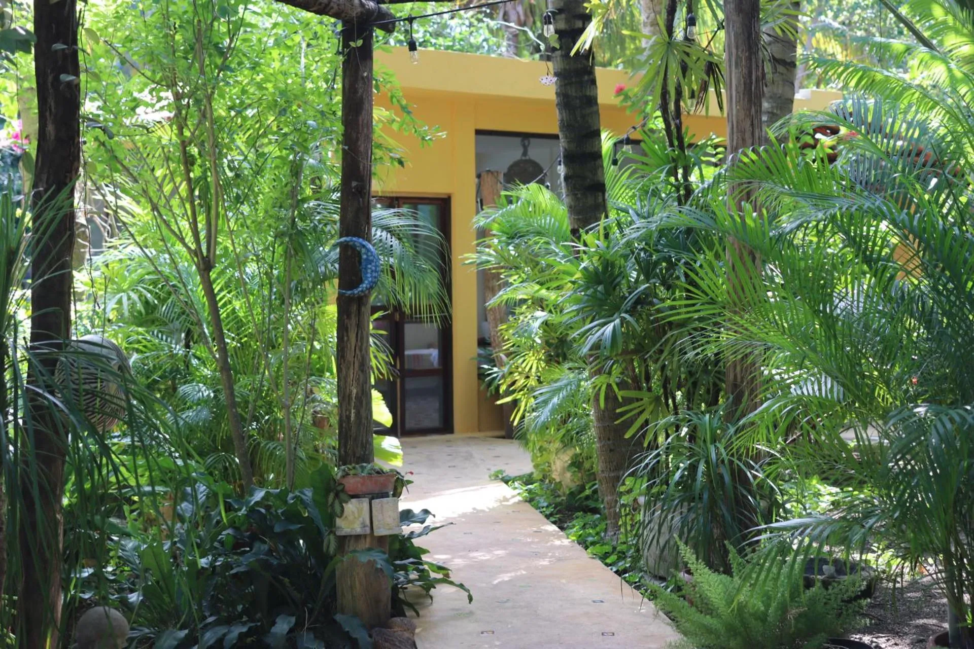 Standard Bungalow with Fan - single occupancy in Casa Kin33