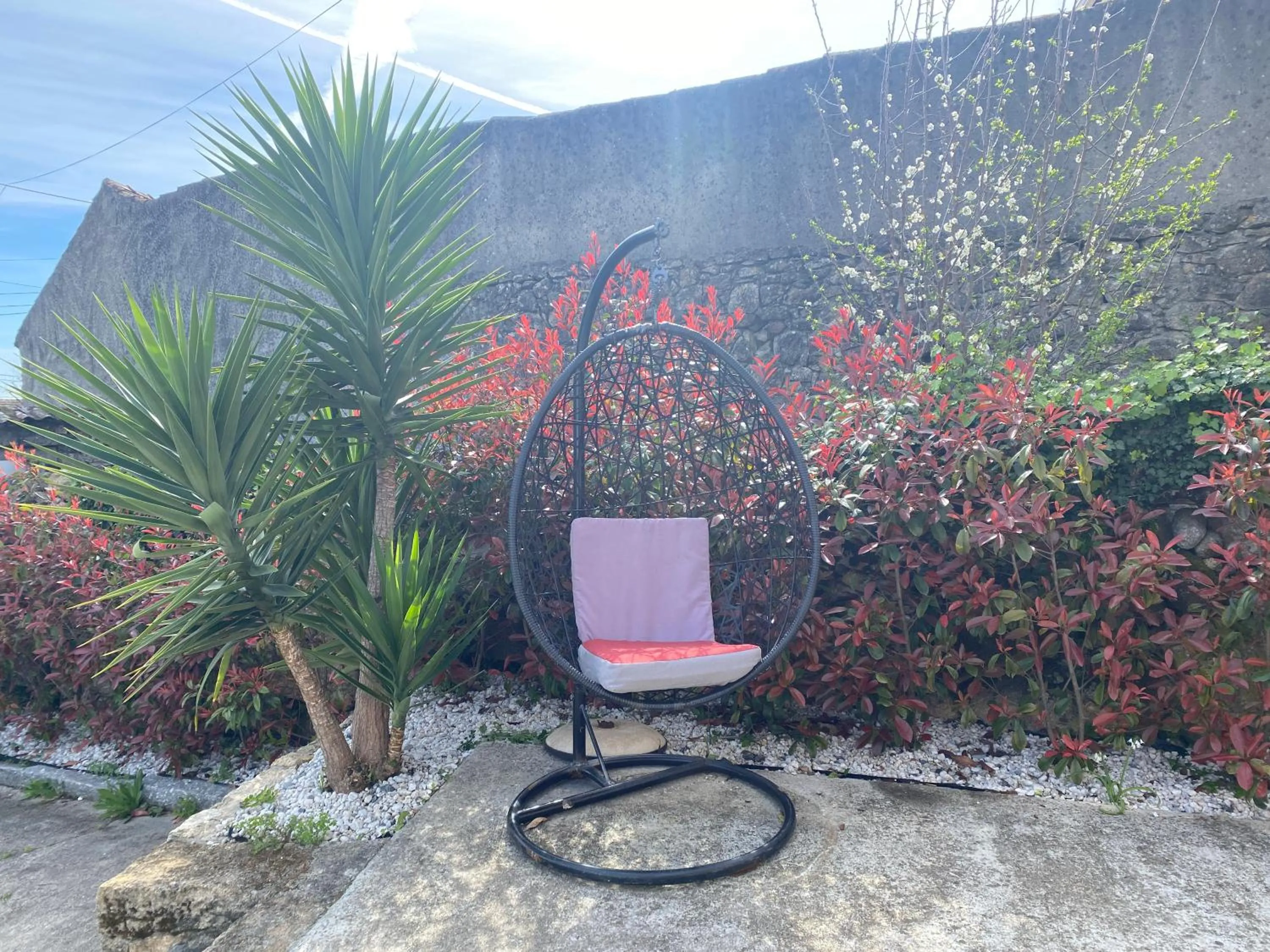 Garden in Casa do Avô Grande