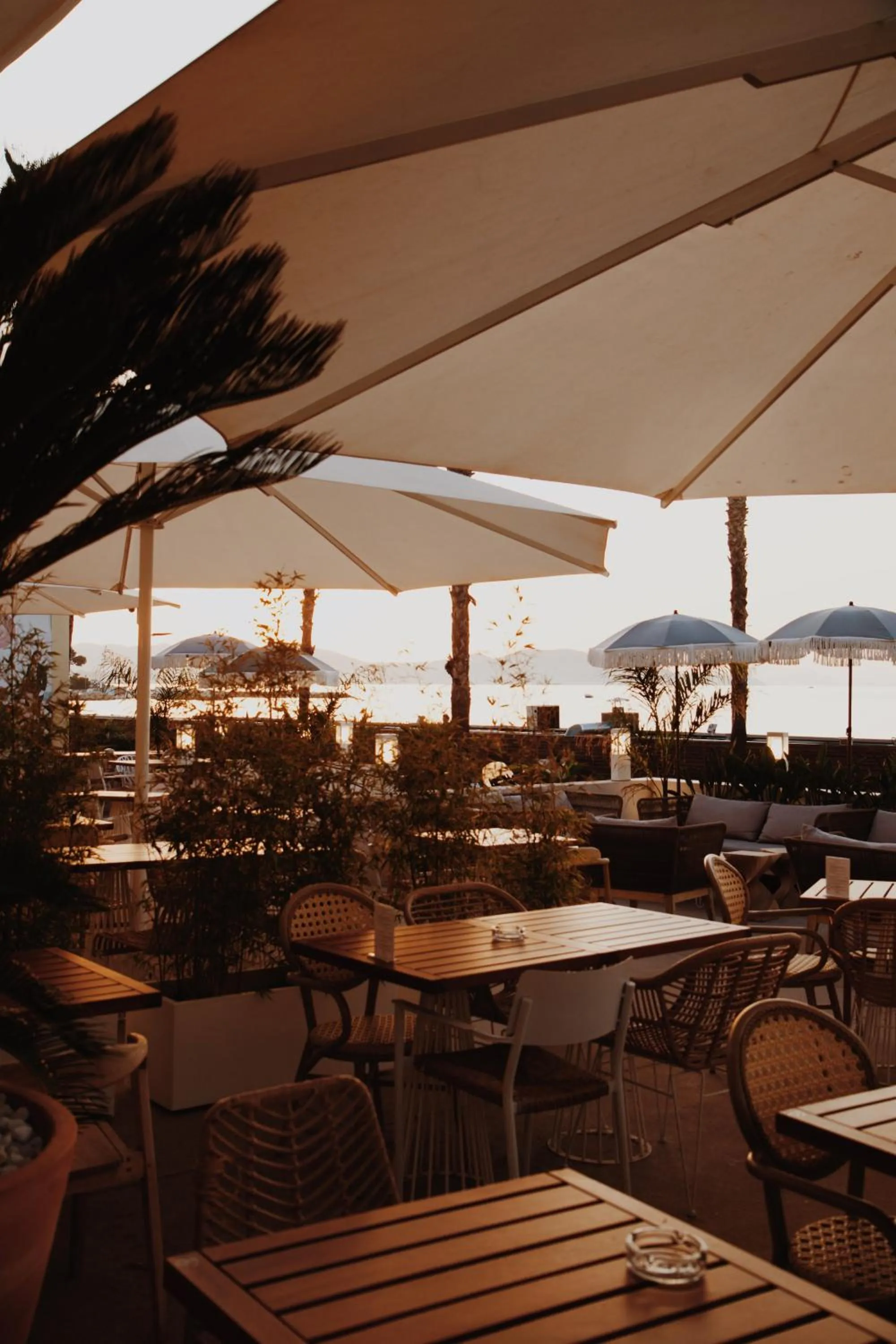 Restaurant/places to eat in Le Rose Thé