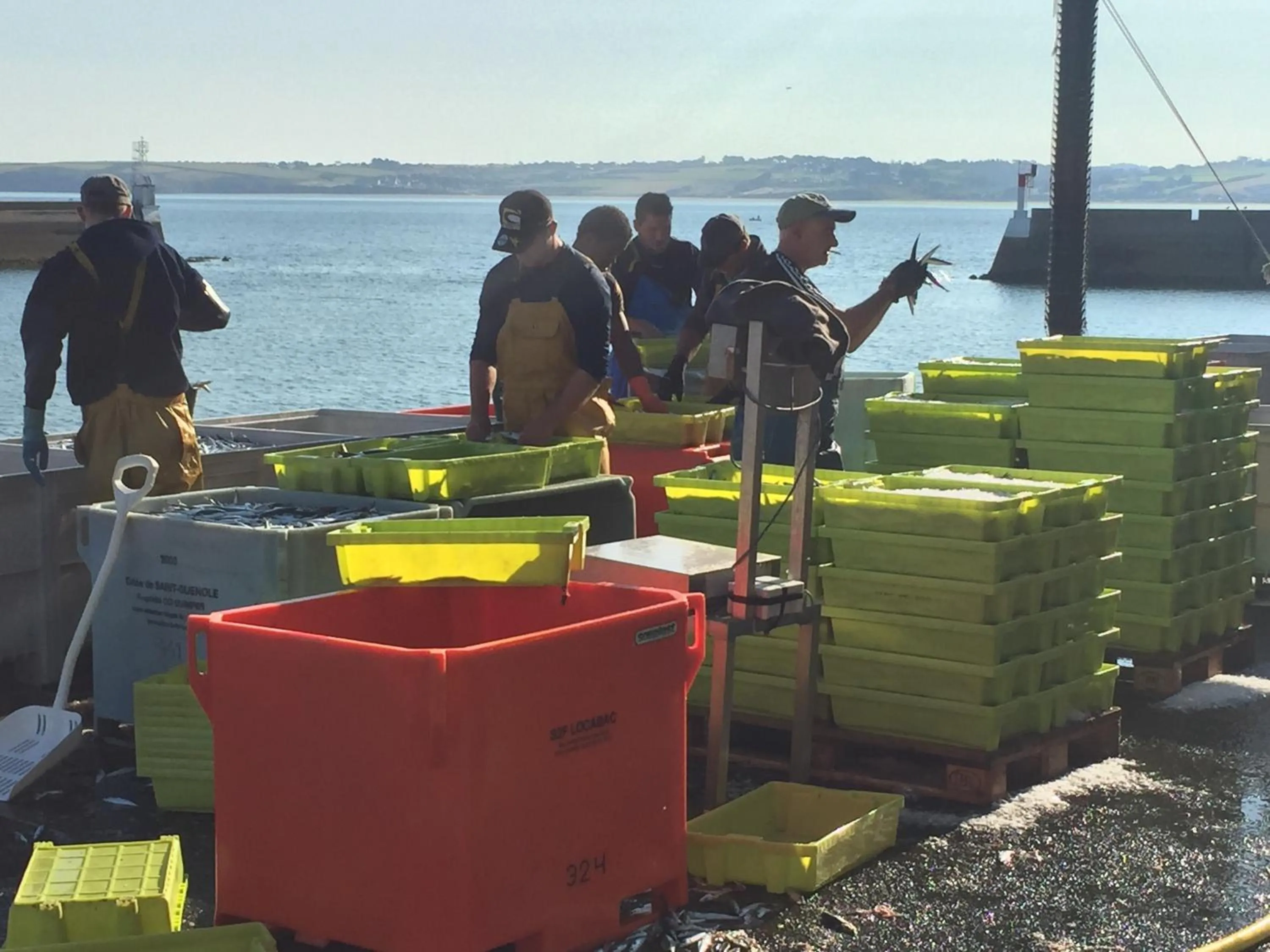 Activities in Appartement Design II - Port du Rosmeur -Douarnenez