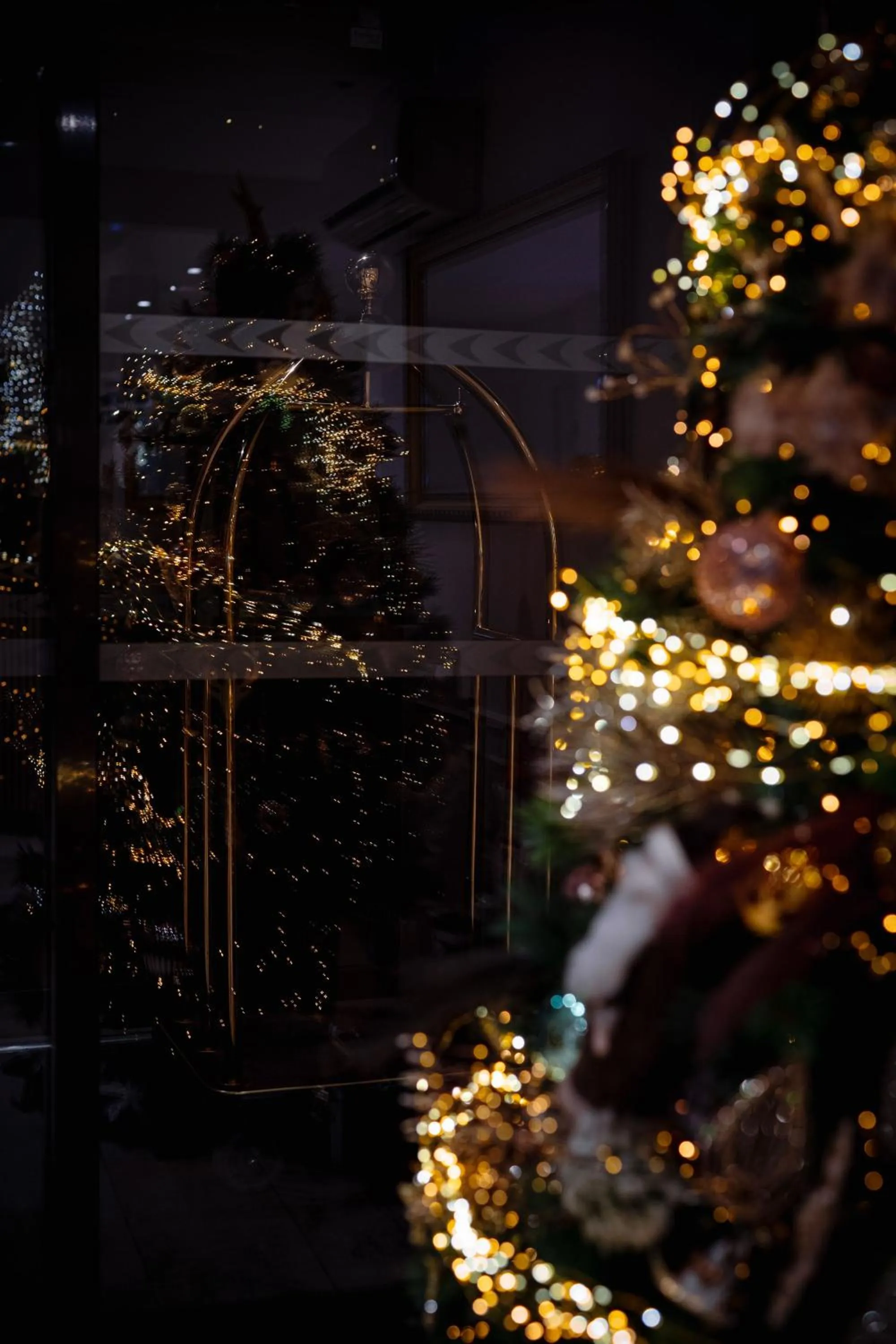 Lobby or reception in Hôtel Le Rapp