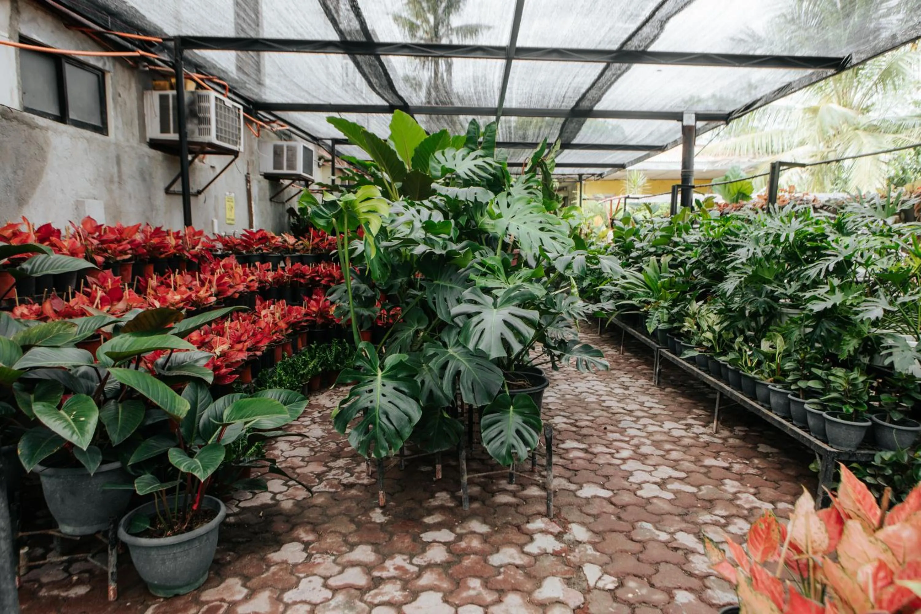 Garden in Delle Suites