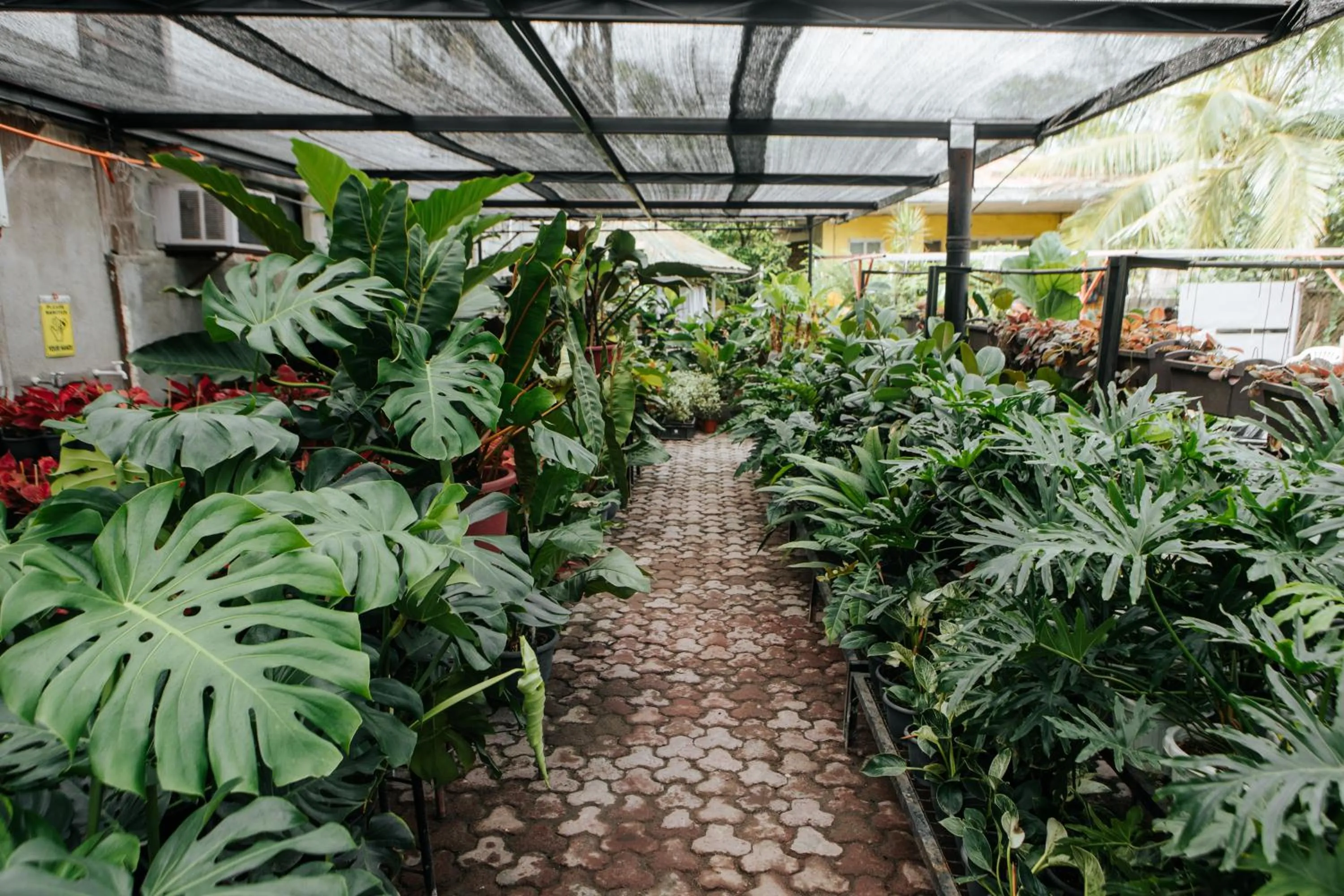 Garden in Delle Suites