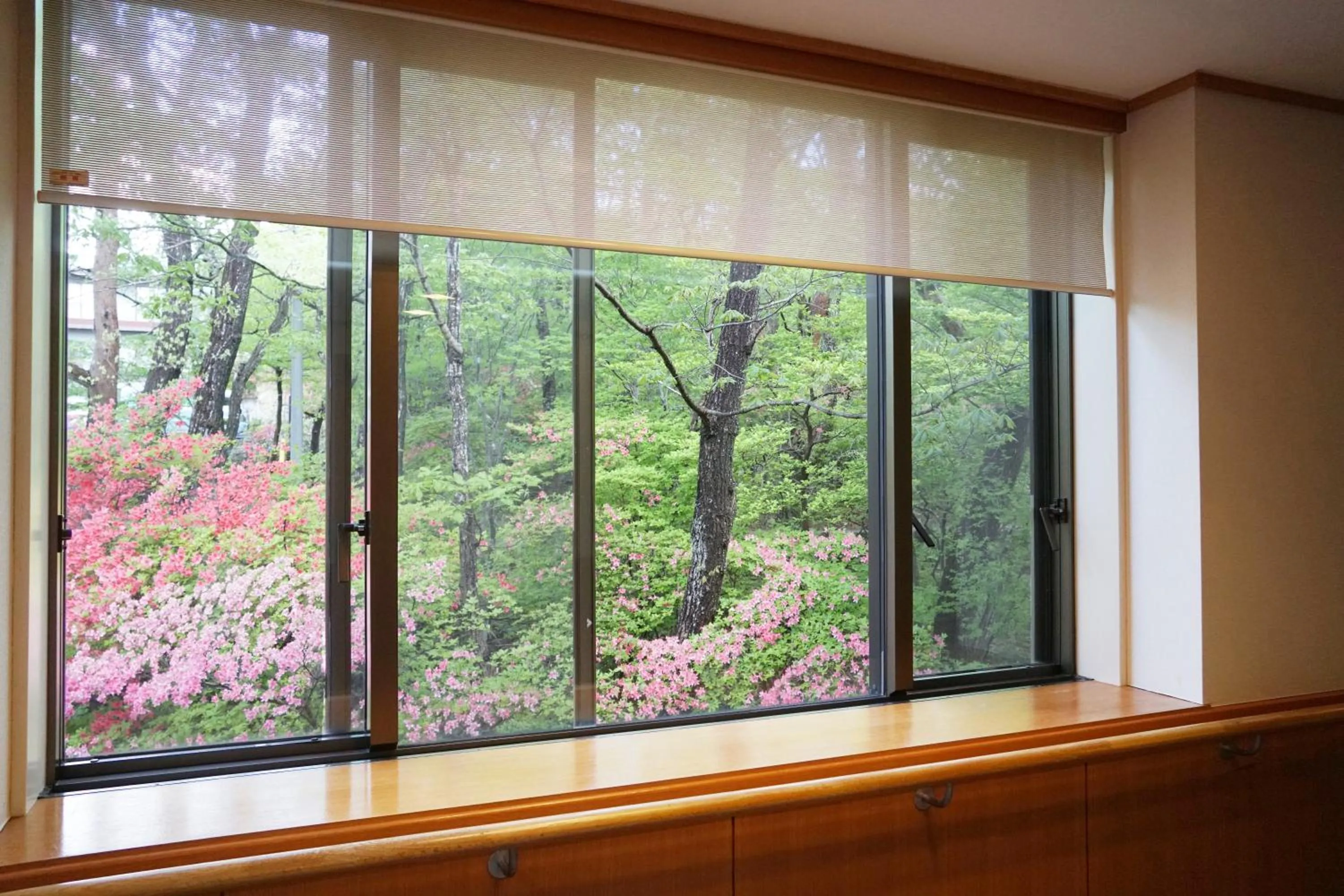 Garden view in Blancvert Nasu Onsen Hotel