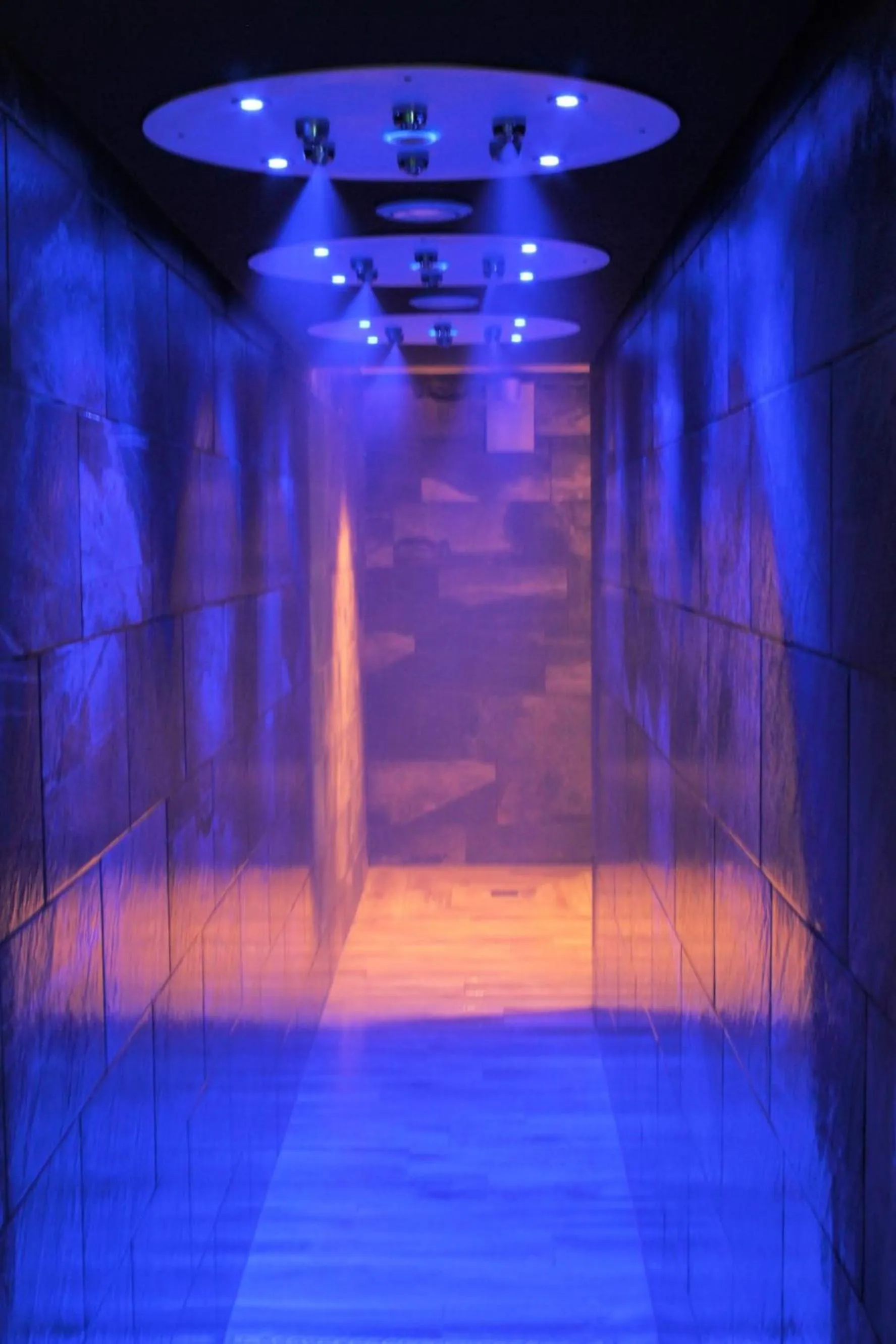 Spa and wellness centre/facilities in Garden & City Cauterets Balneo