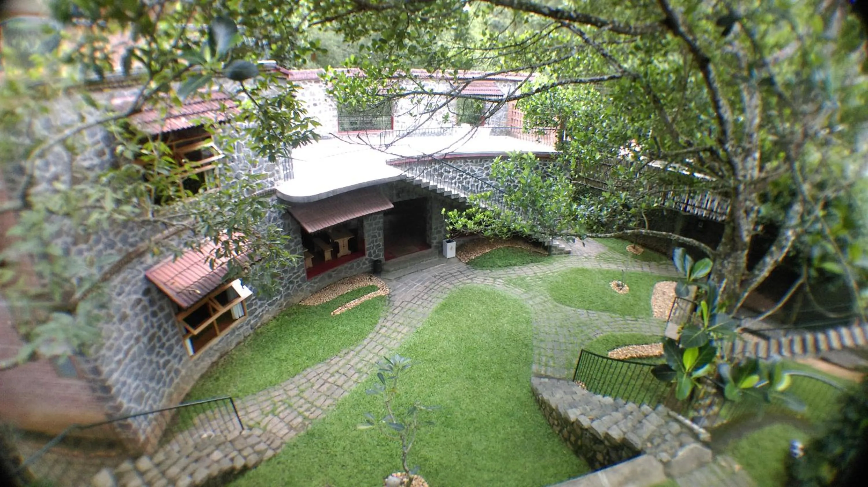 Bird's eye view in Wildernest