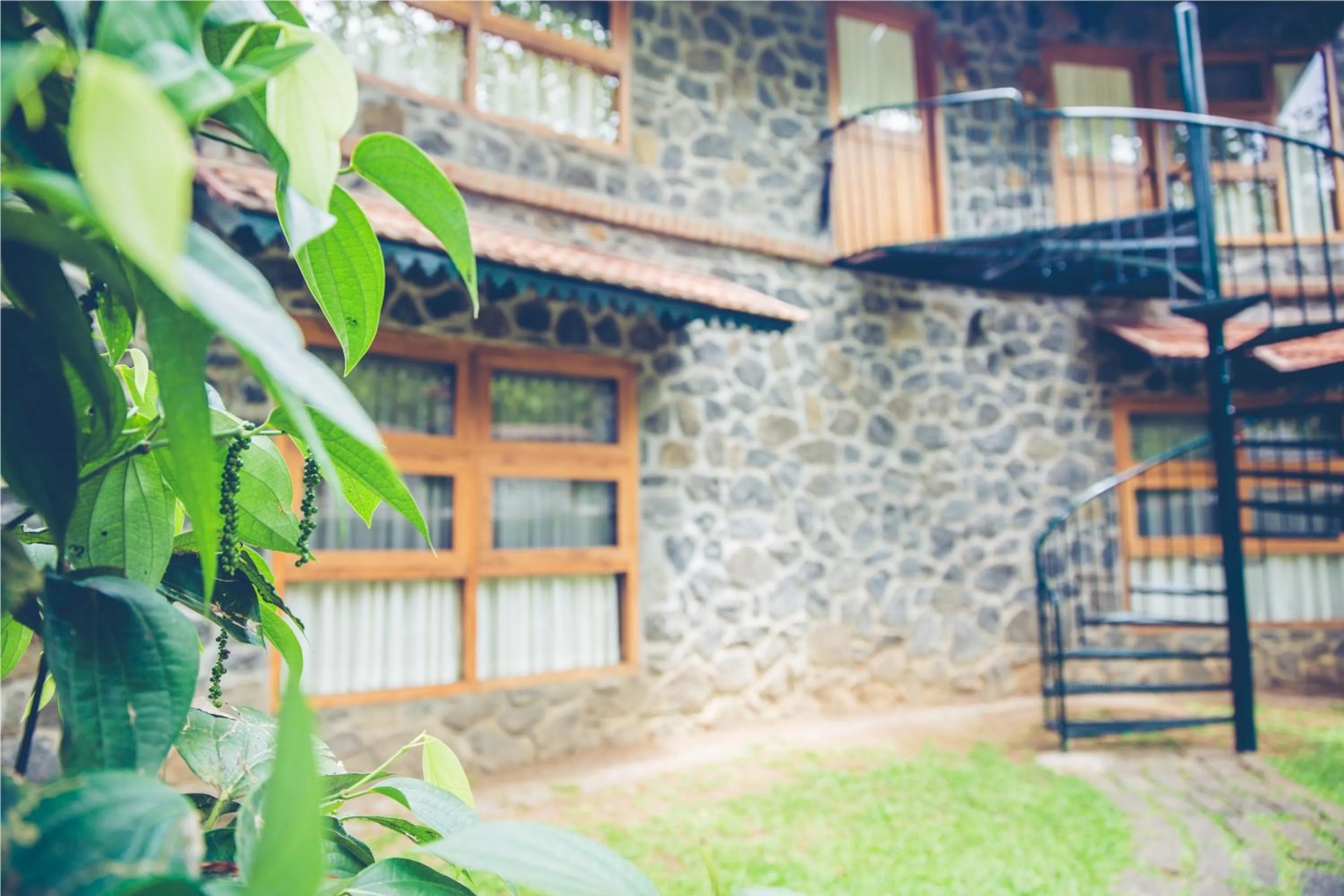 Area and facilities in Wildernest