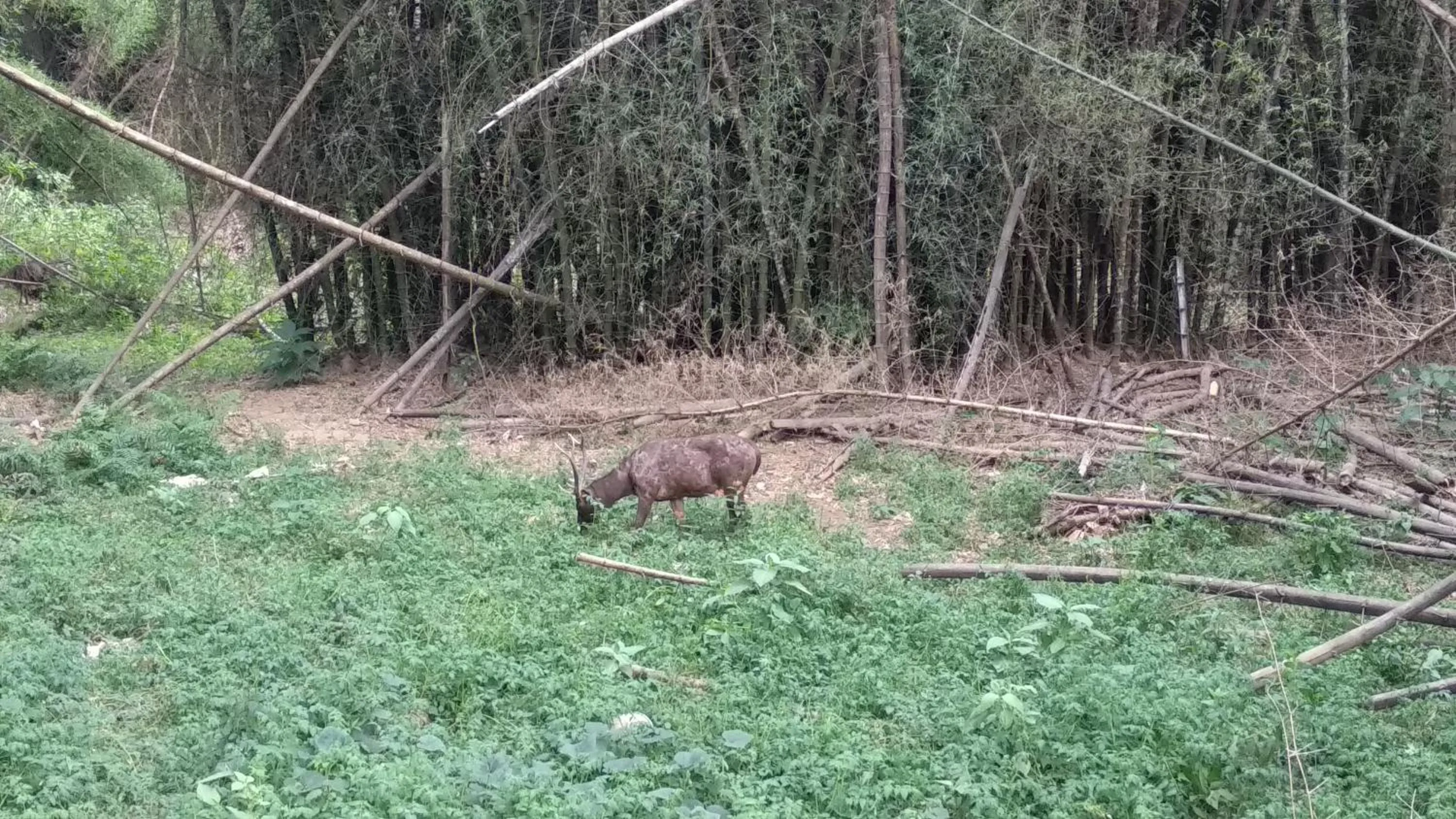 View (from property/room) in Wildernest