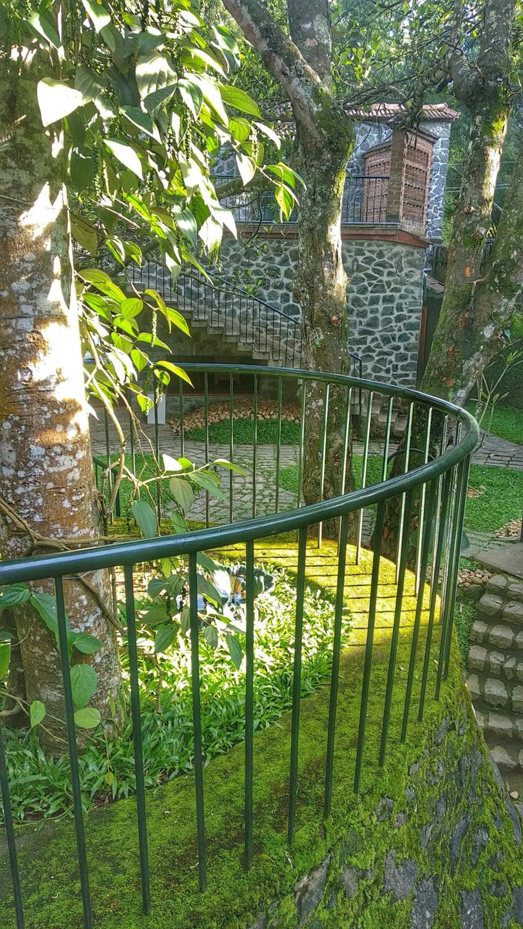 Garden view in Wildernest