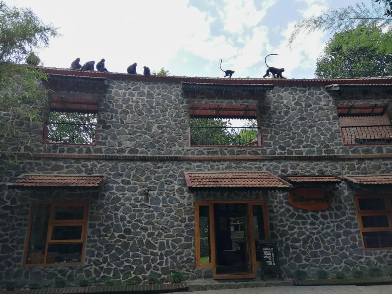 Facade/entrance in Wildernest