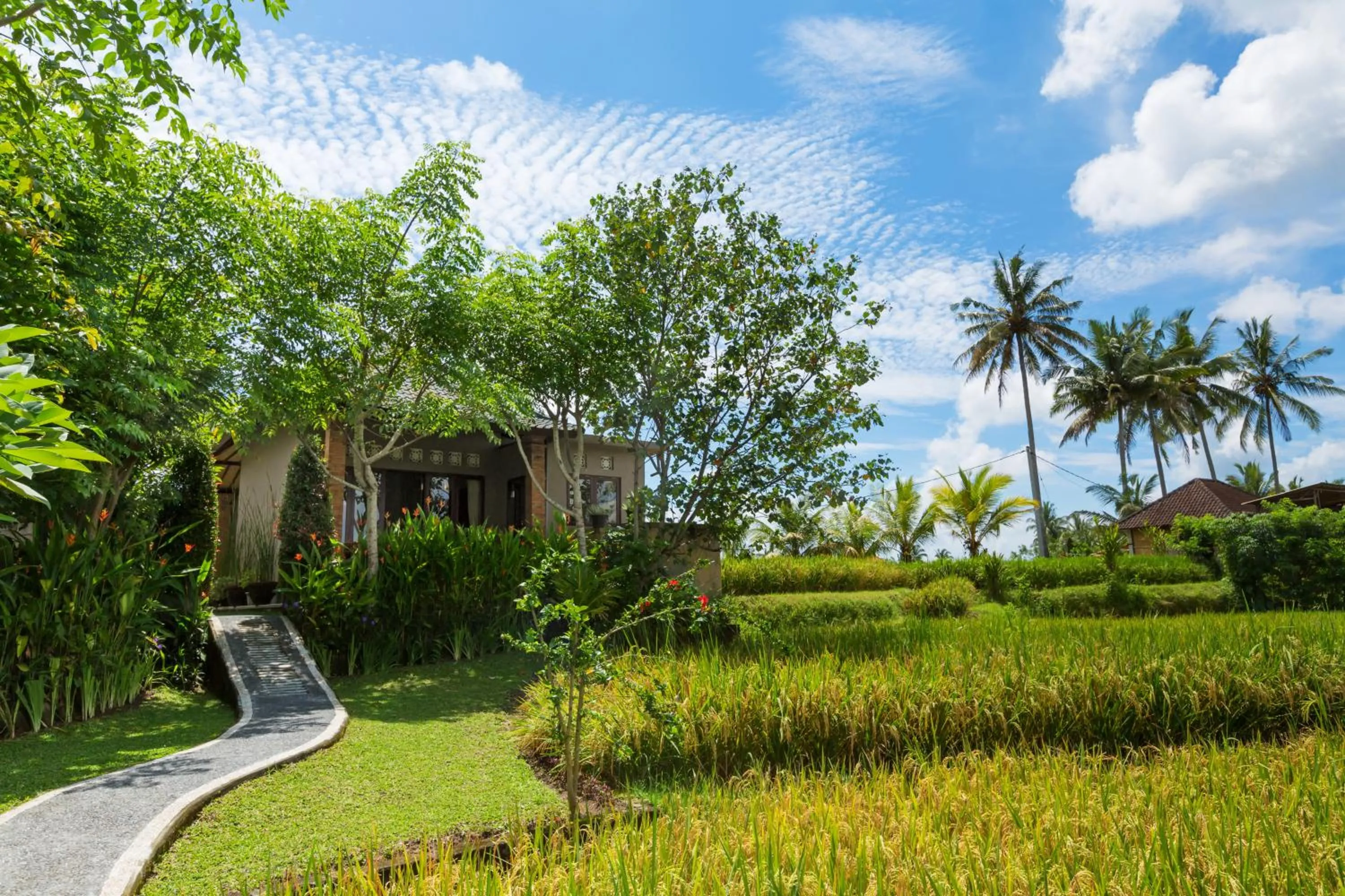 Property building in Cahaya Ubud Villa