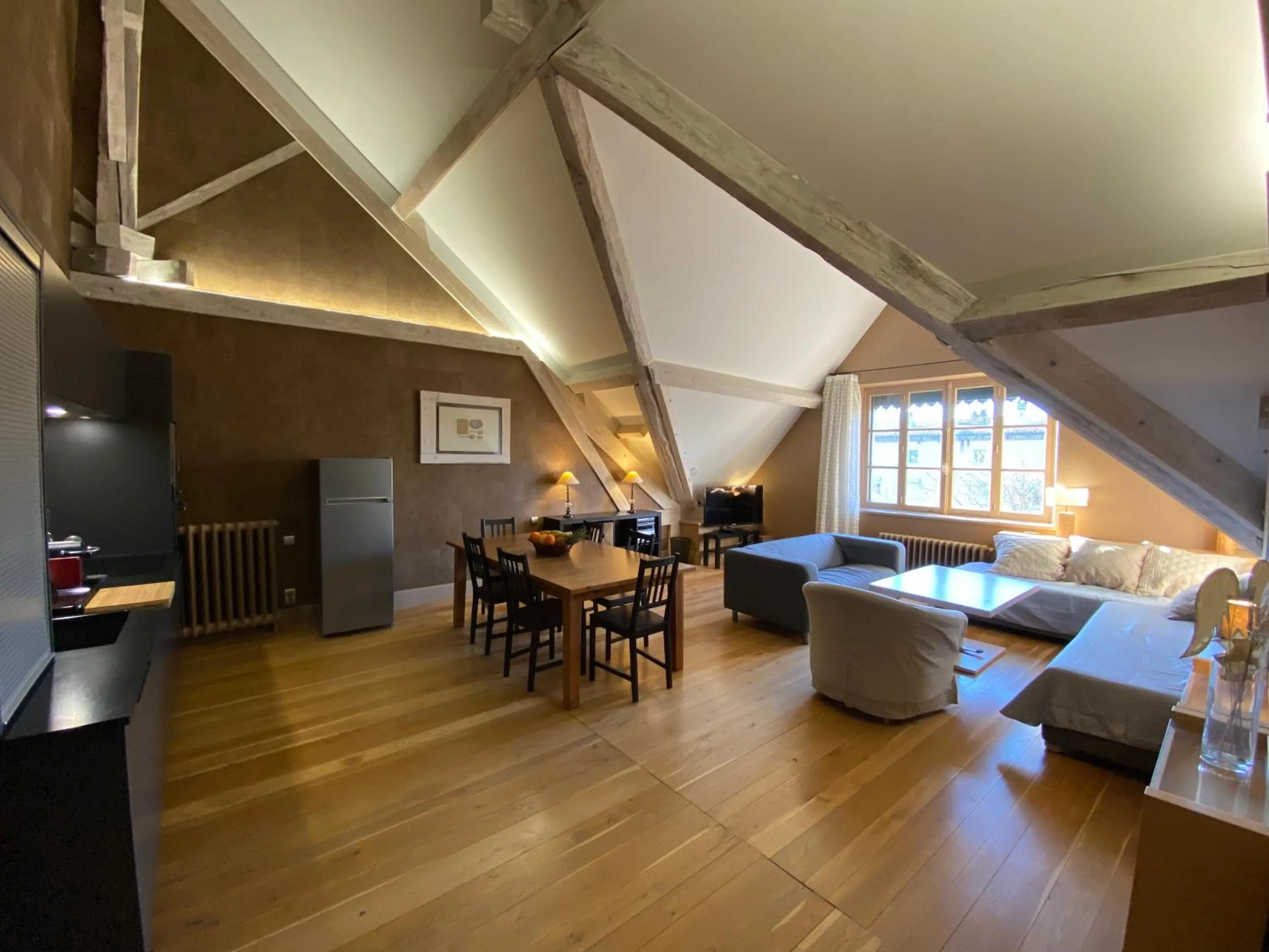 Living room in Demeure Saint Louis Historic manor, City 700m, free parking,A C,Clim,WIFI, city view, Garden