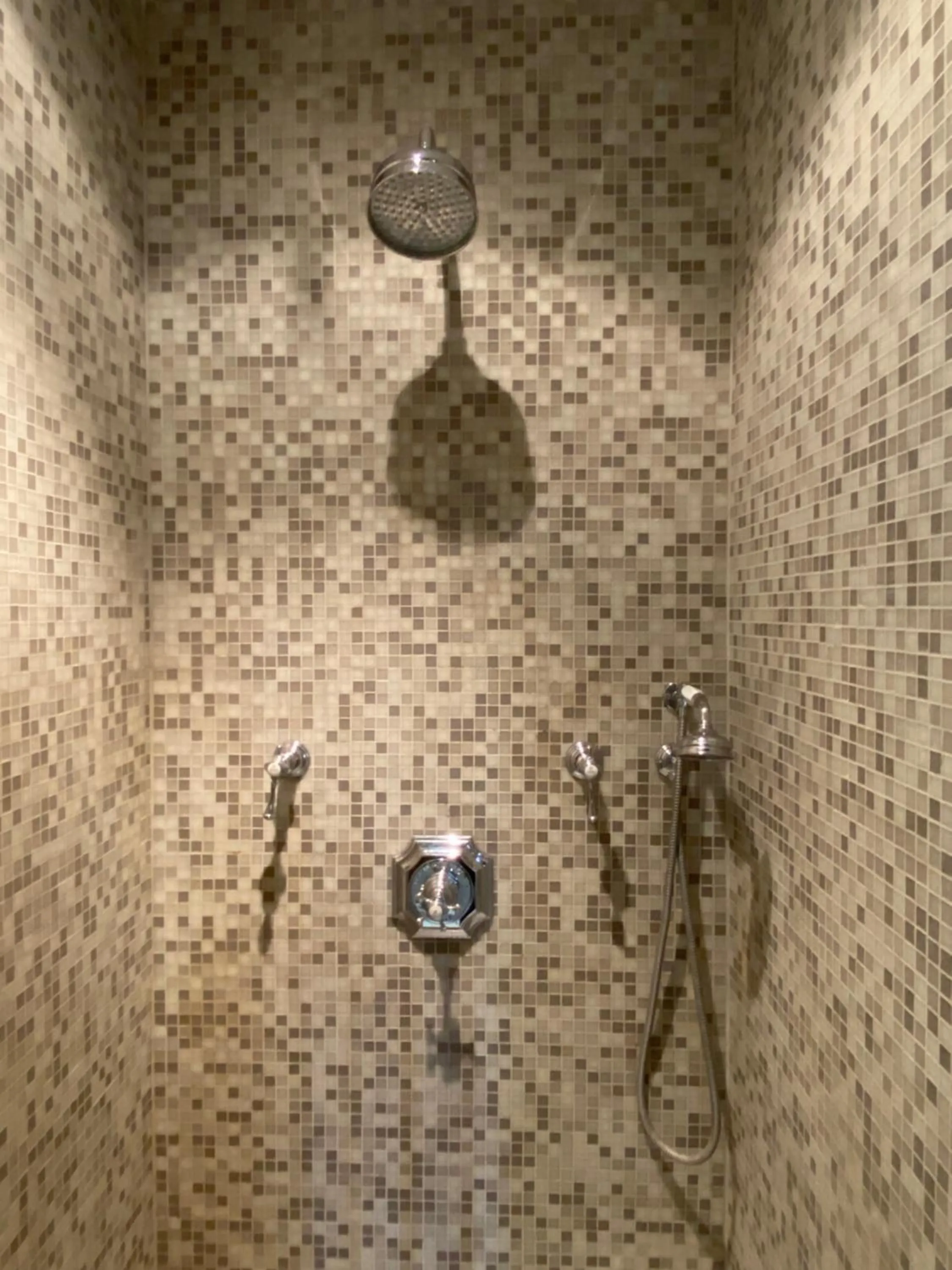 Shower in Demeure Saint Louis Historic manor, City 700m, free parking,A C,Clim,WIFI, city view, Garden