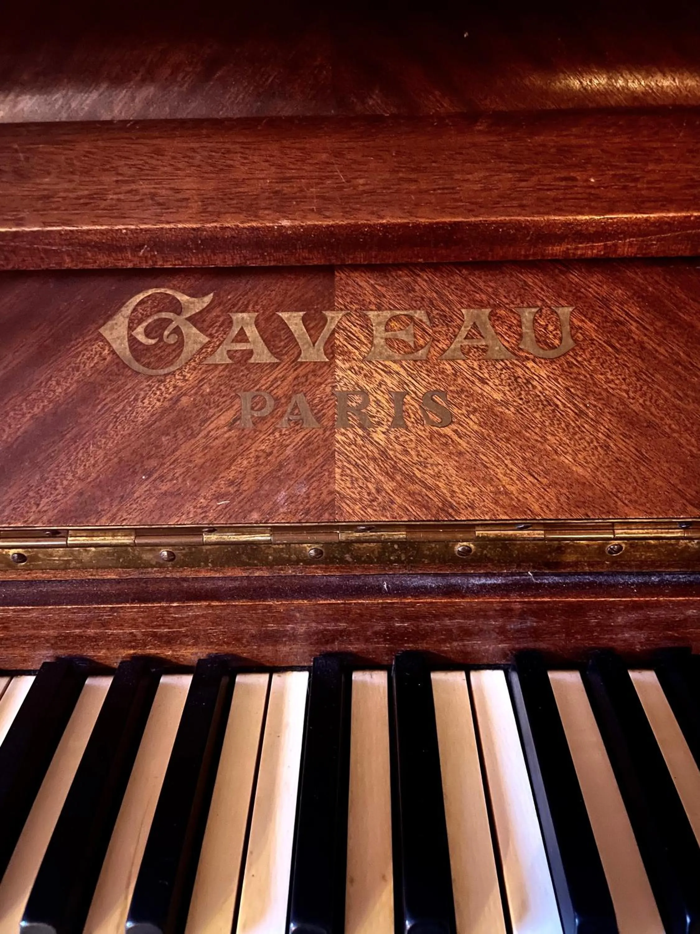 Demeure Saint Louis Historic manor, City 700m, free parking,A C,Clim,WIFI, city view, Garden