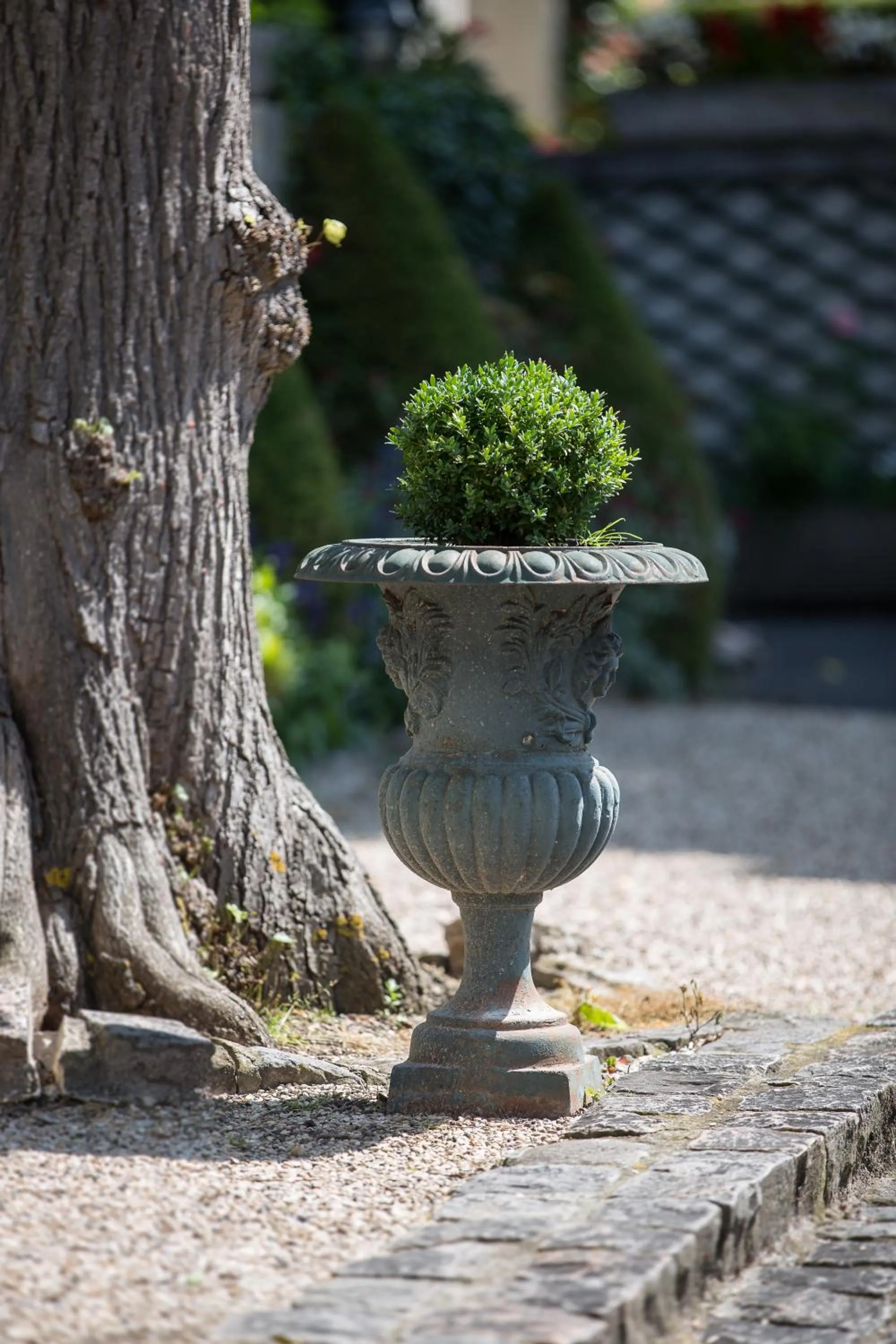 Garden in Hôtel & Restaurant Le Relais d'Aumale