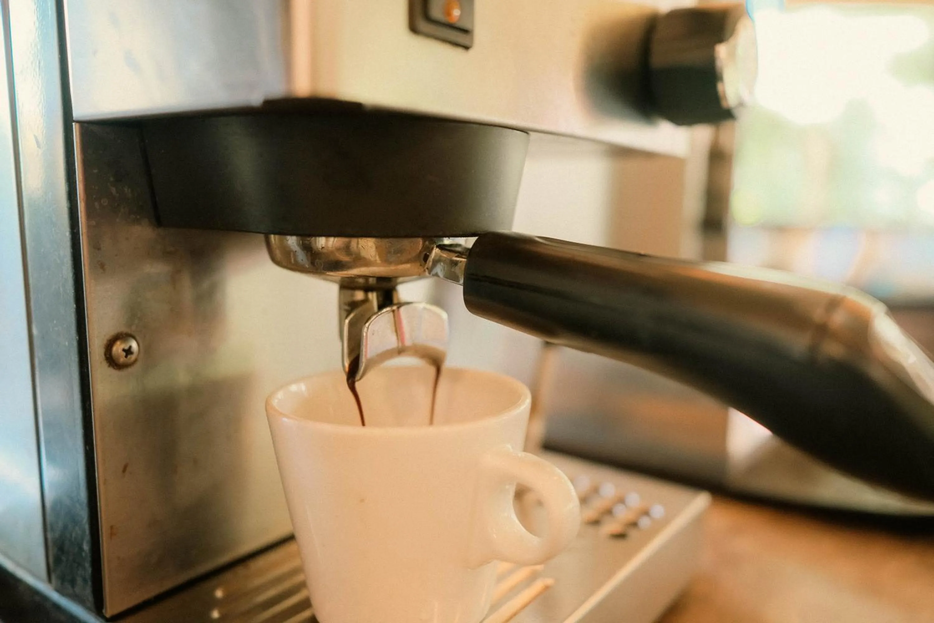 Ecolodge Bukit Lawang