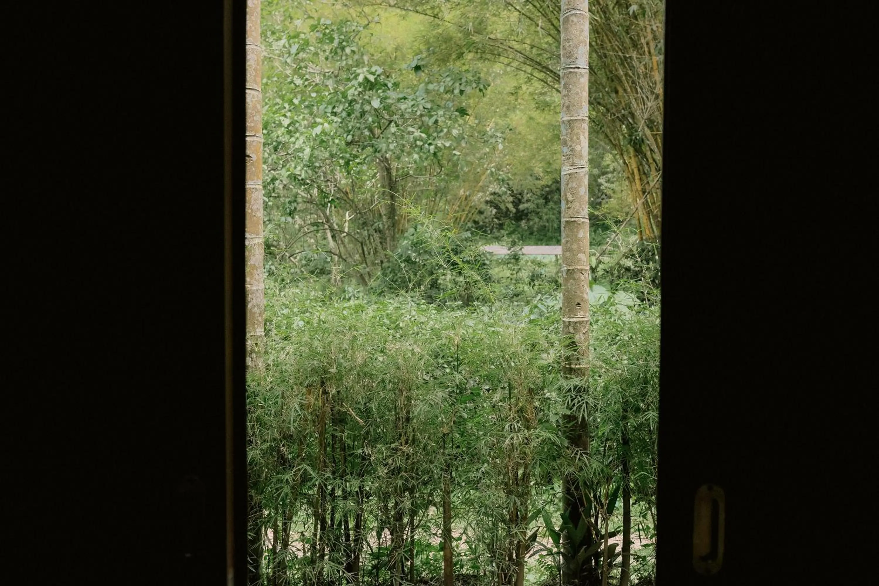 Ecolodge Bukit Lawang