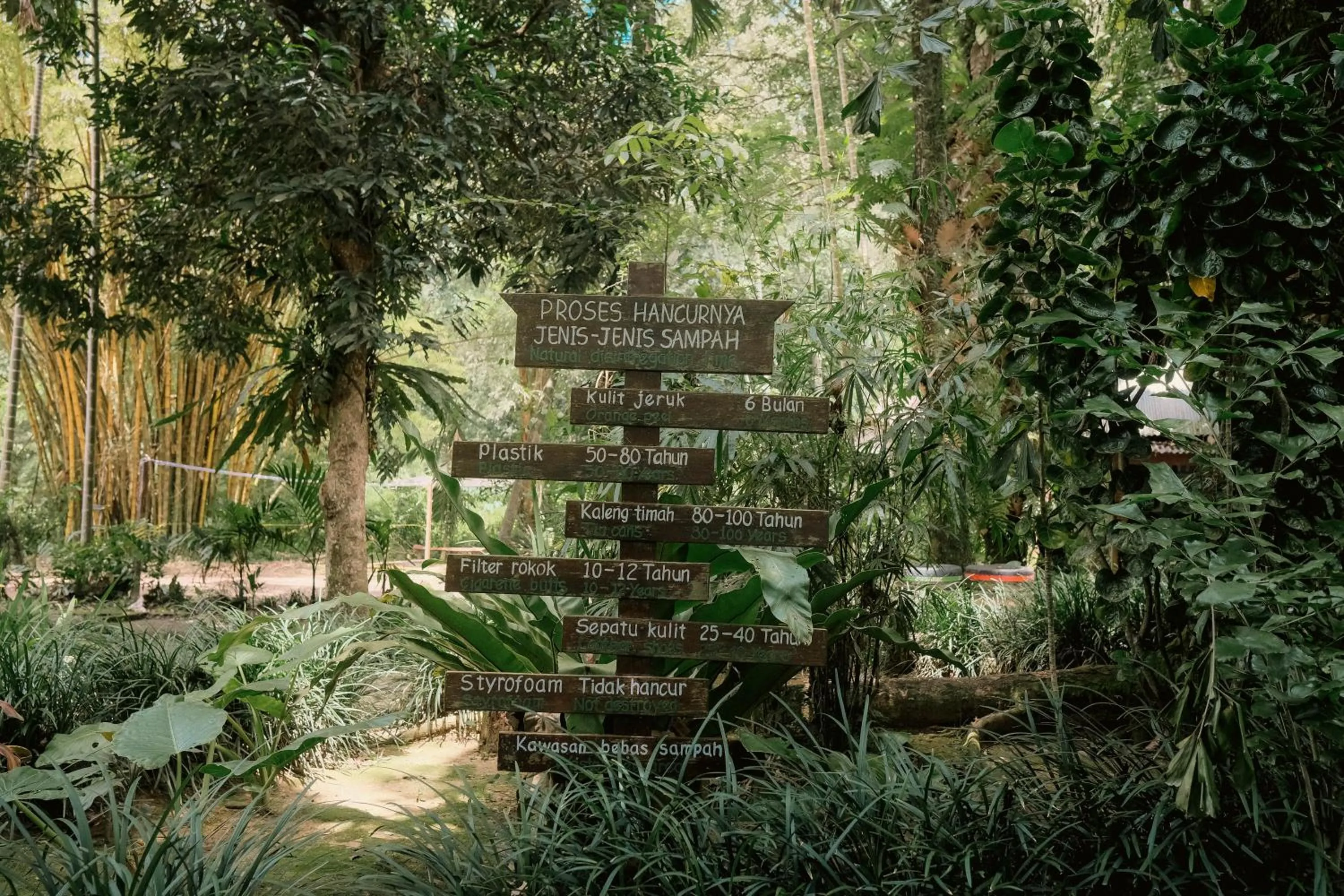 Ecolodge Bukit Lawang