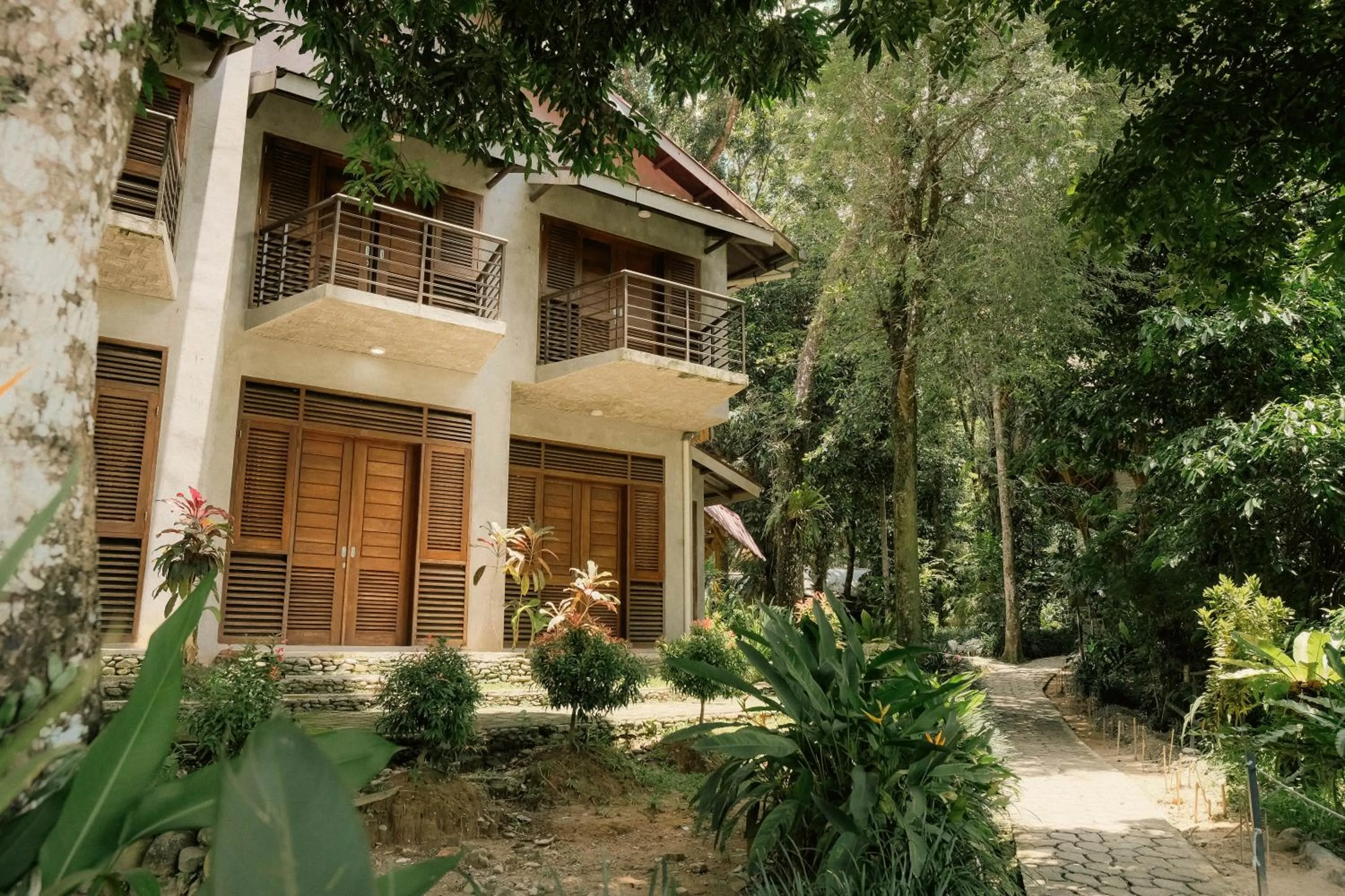 Ecolodge Bukit Lawang
