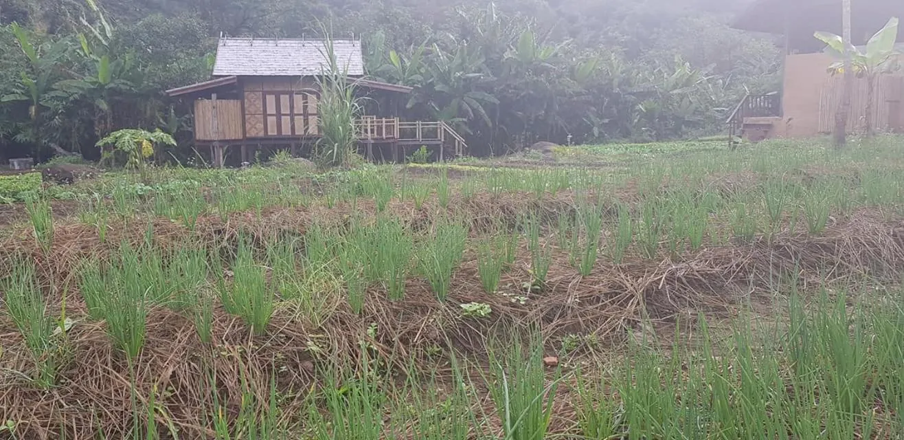 Natural landscape in Namkat Yorla Pa Resort