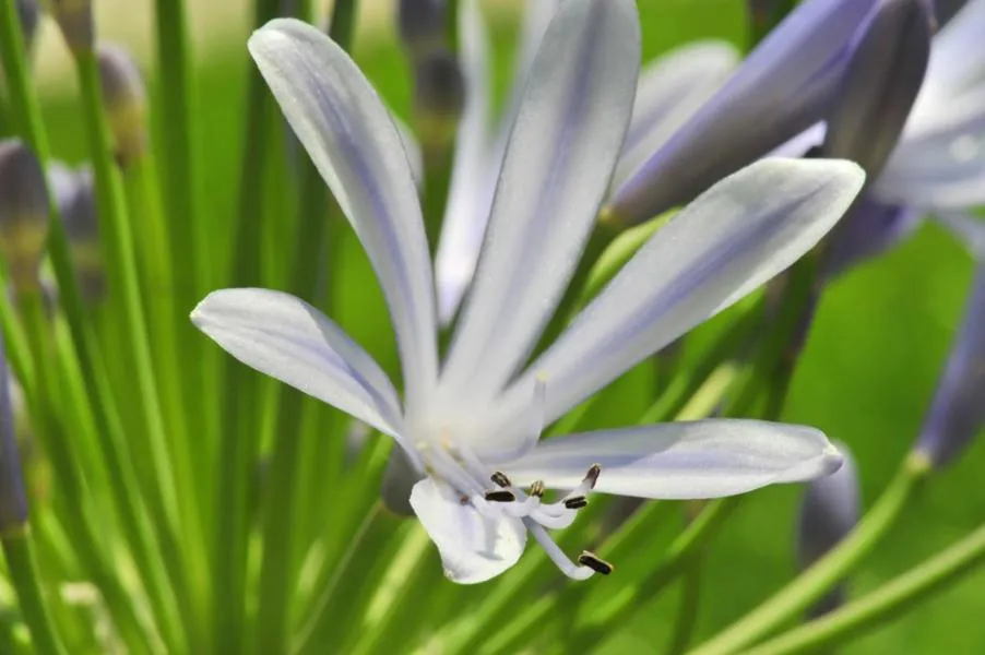 Other in Hotel Eden Park Pau Est, avec Piscine