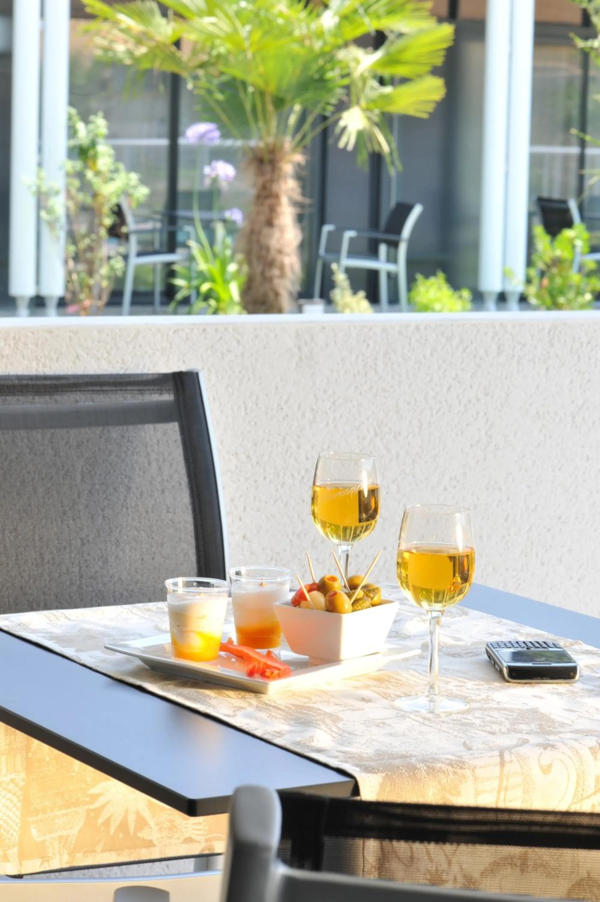 Non alcoholic drinks in Hotel Eden Park Pau Est, avec Piscine