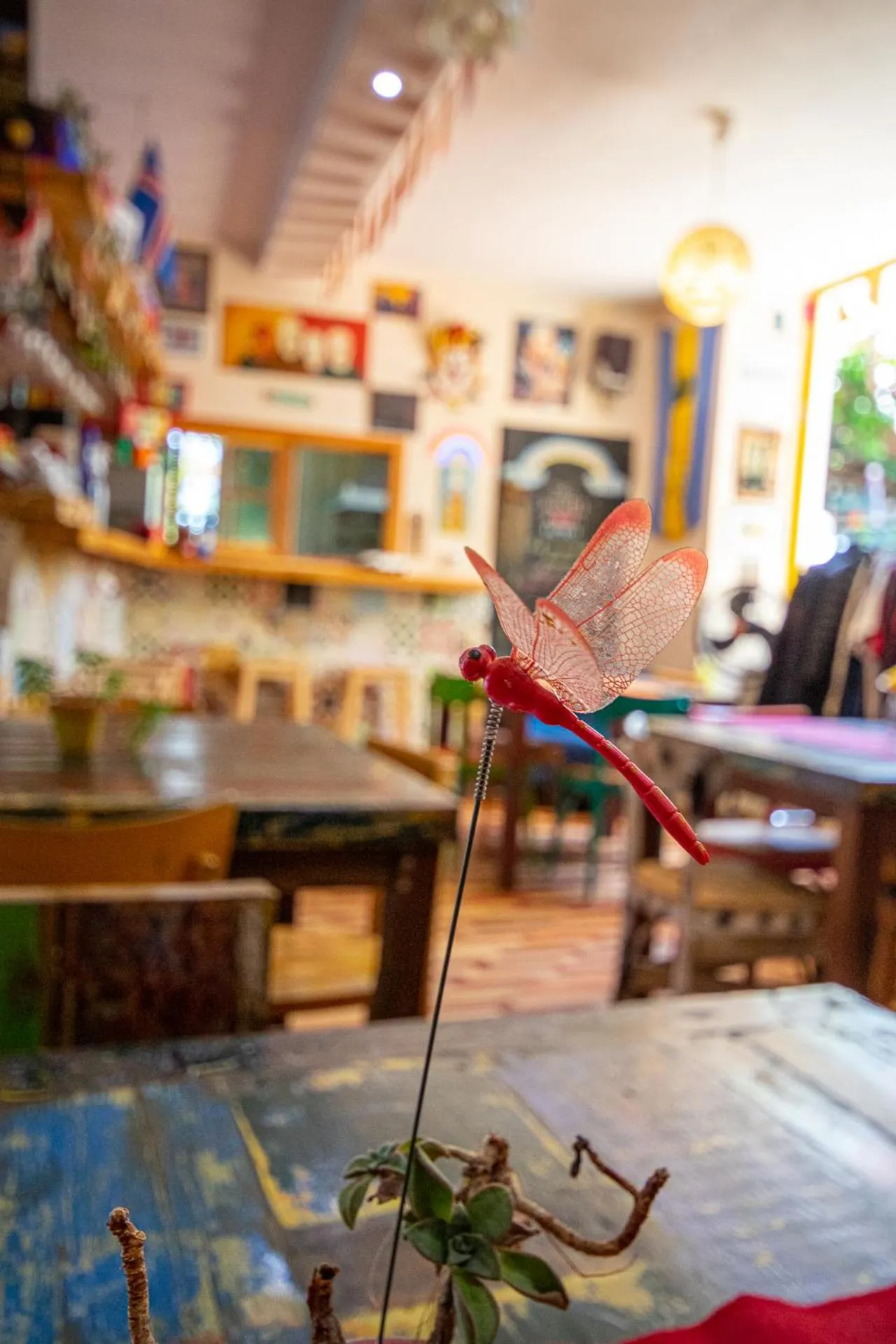 Lounge or bar in Eco hostel floreale