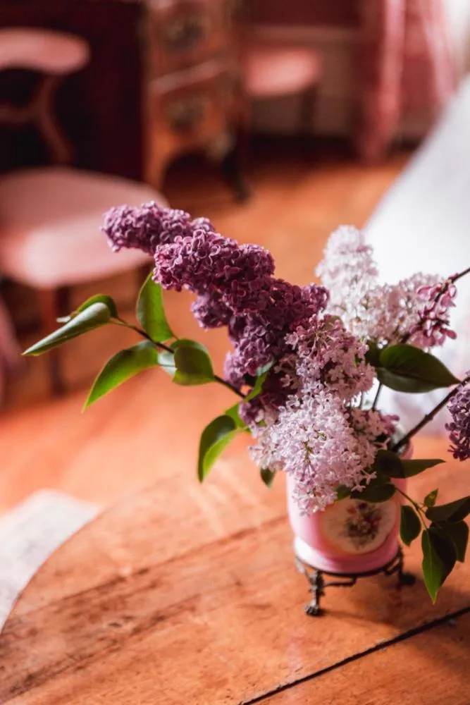 Château du Plessis - Anjou