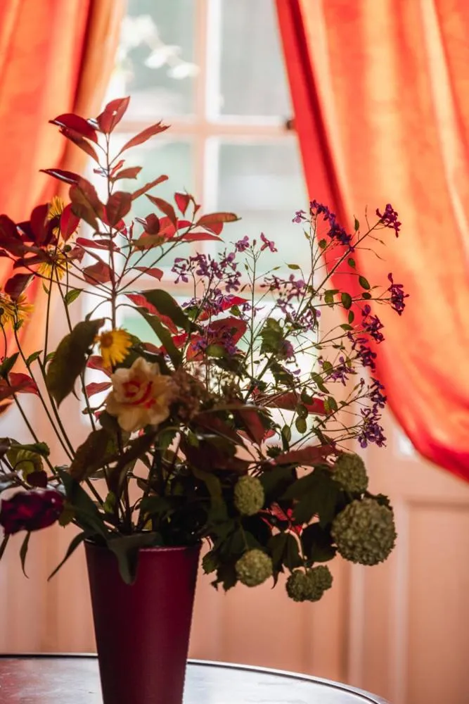 Château du Plessis - Anjou