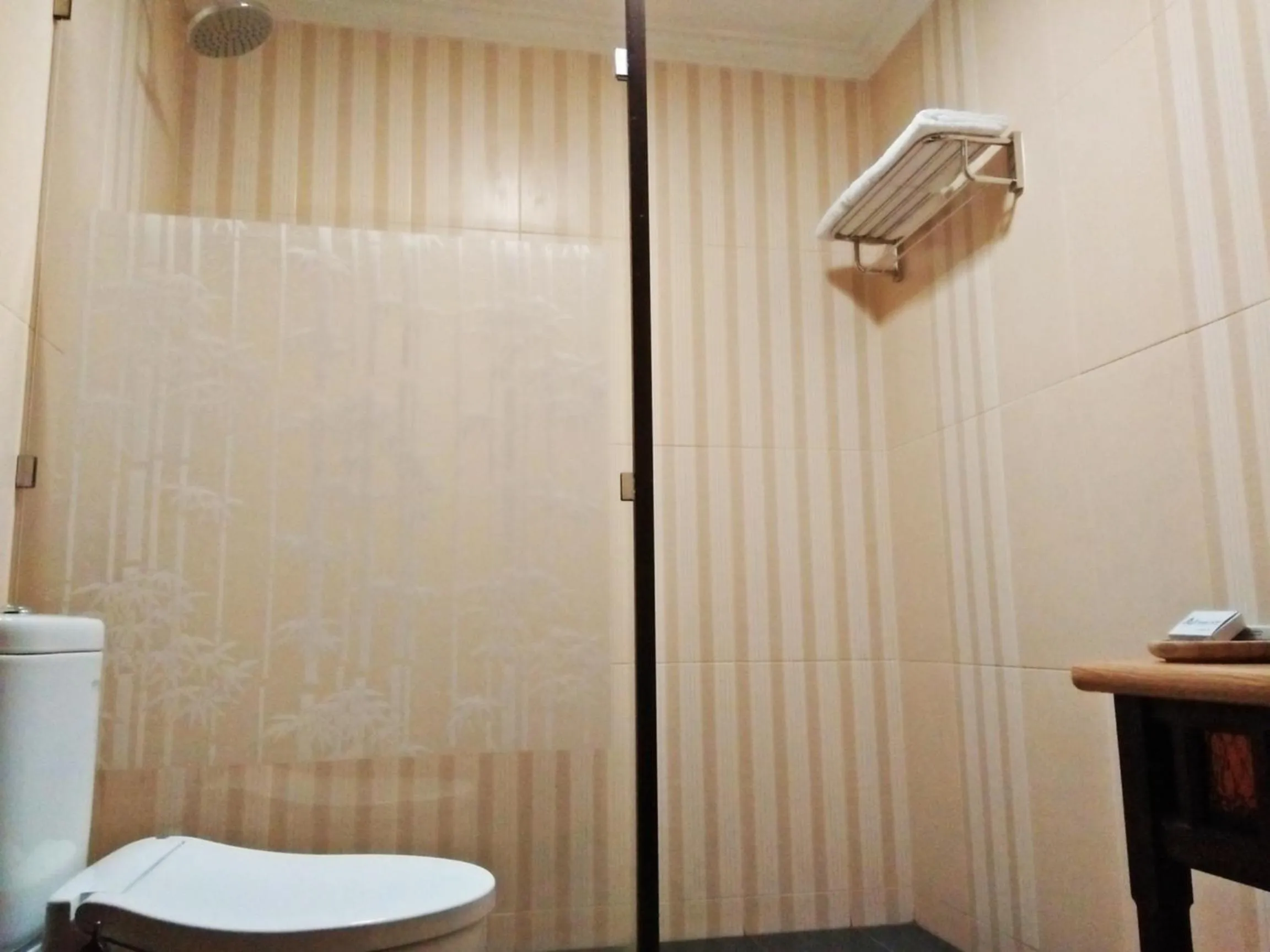 Shower in Arsela Hotel Pangkalan Bun