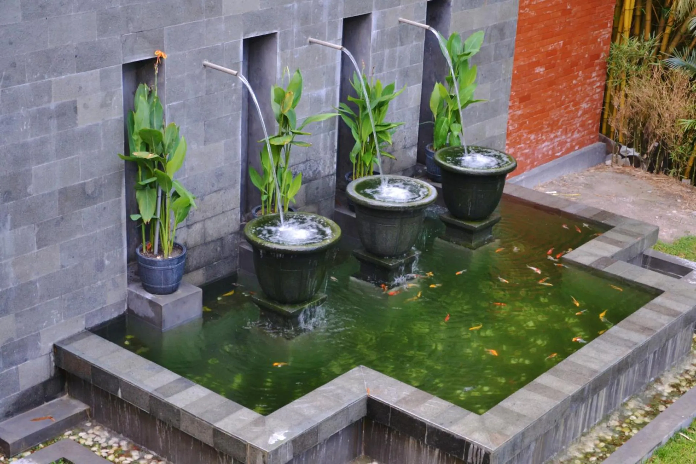 Garden in Arsela Hotel Pangkalan Bun