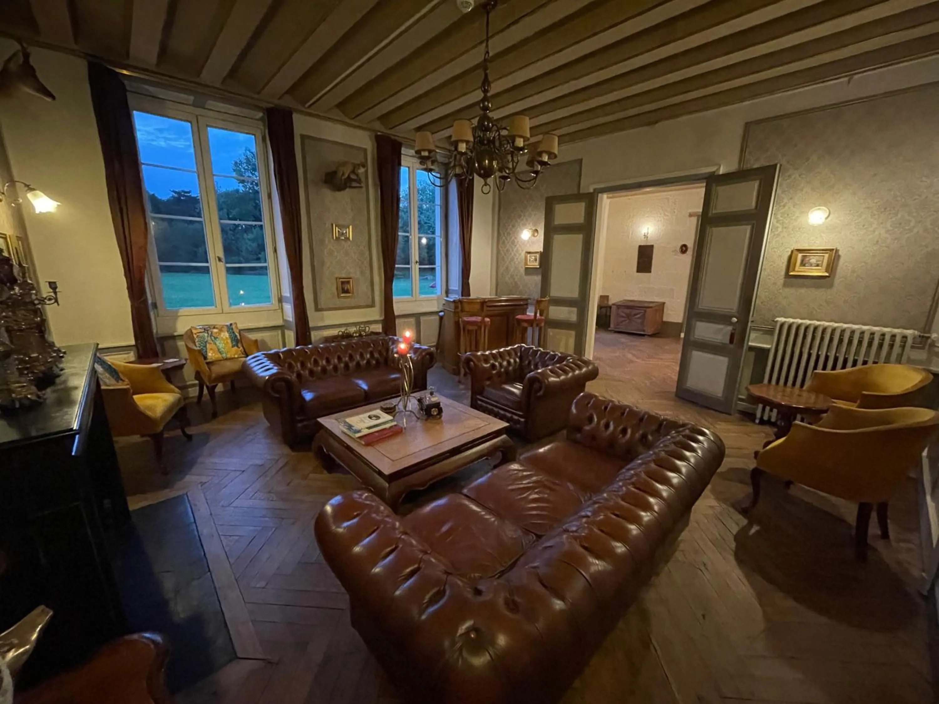 Lounge or bar in Château De La Coutancière