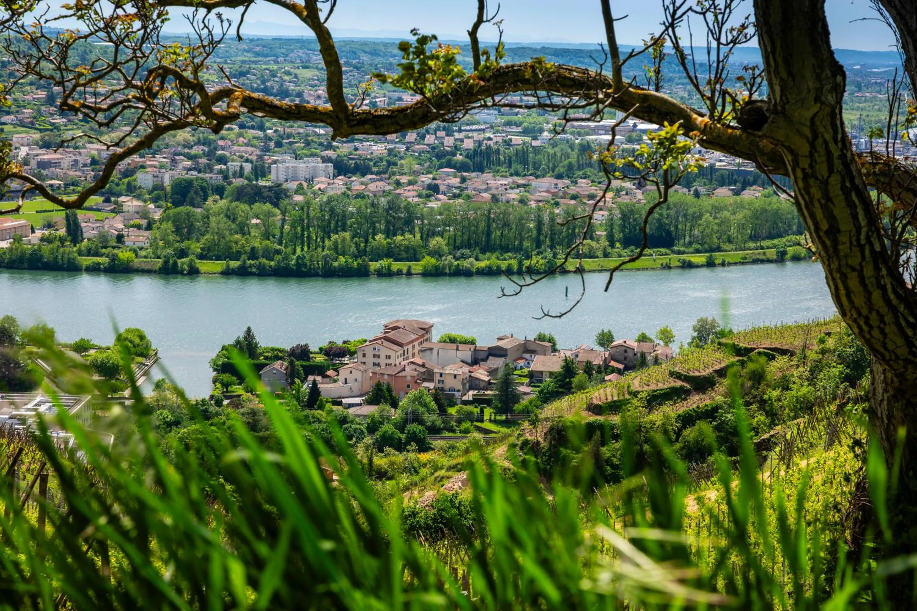 Nearby landmark in Hôtel Beau Rivage Condrieu