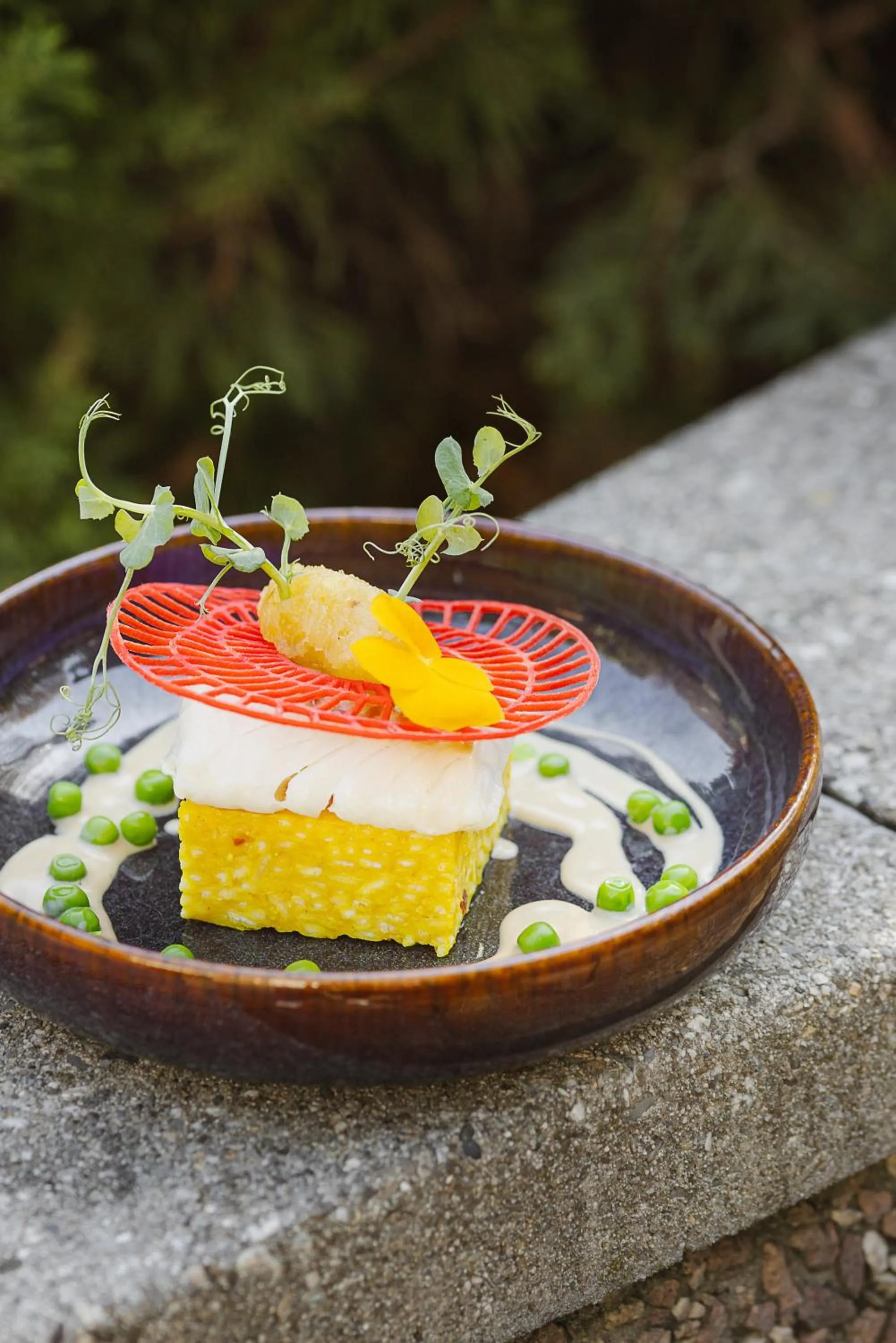 Restaurant/places to eat in Brit Hotel Florimont