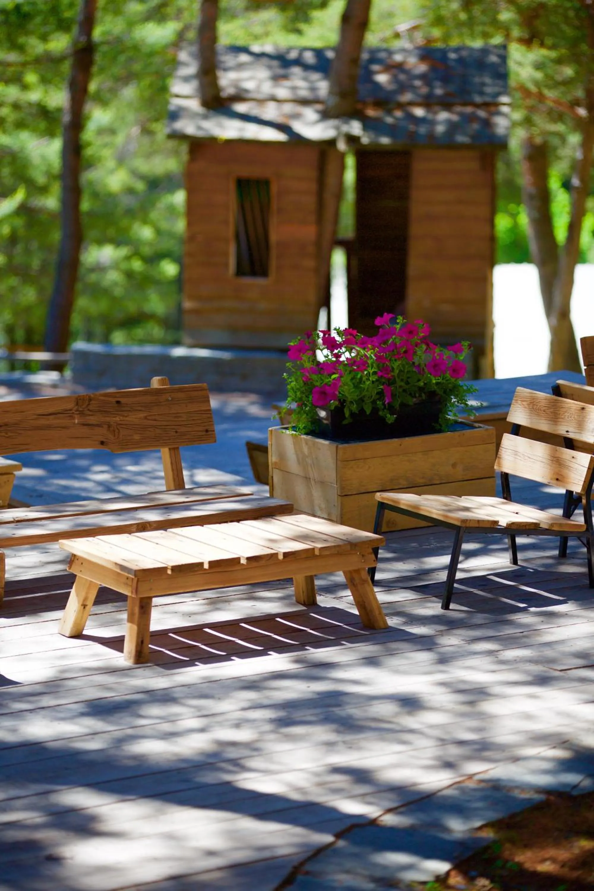 Area and facilities in Azur et Neige