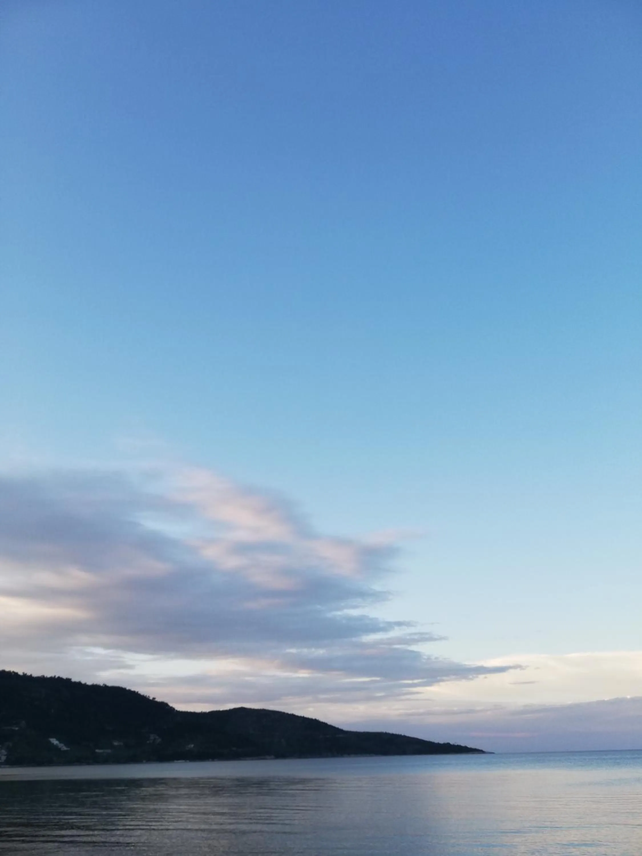 Natural landscape in Hotel Anna