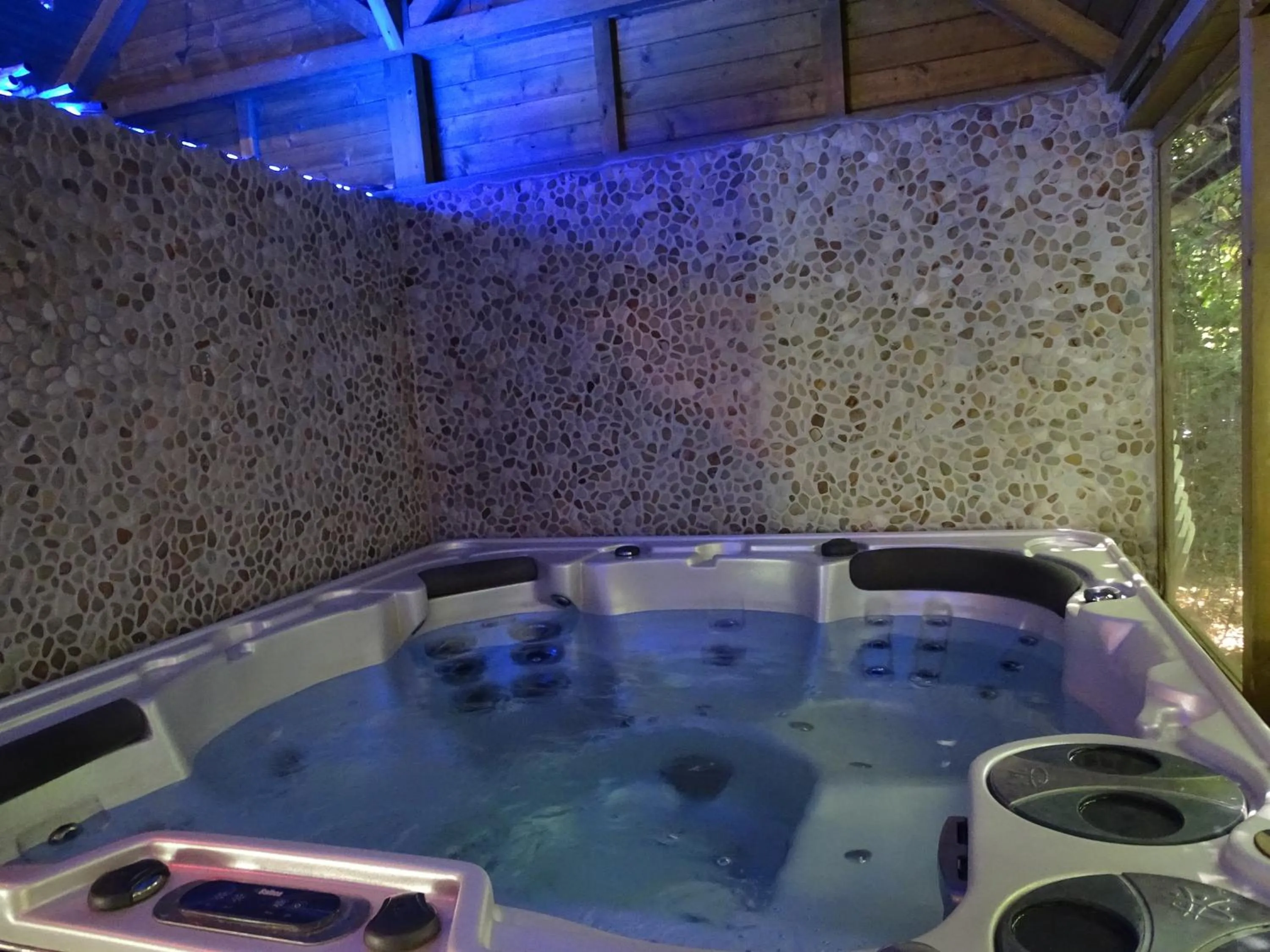 Hot Tub in Logis Hôtel Restaurant Spa L'auberge Du President