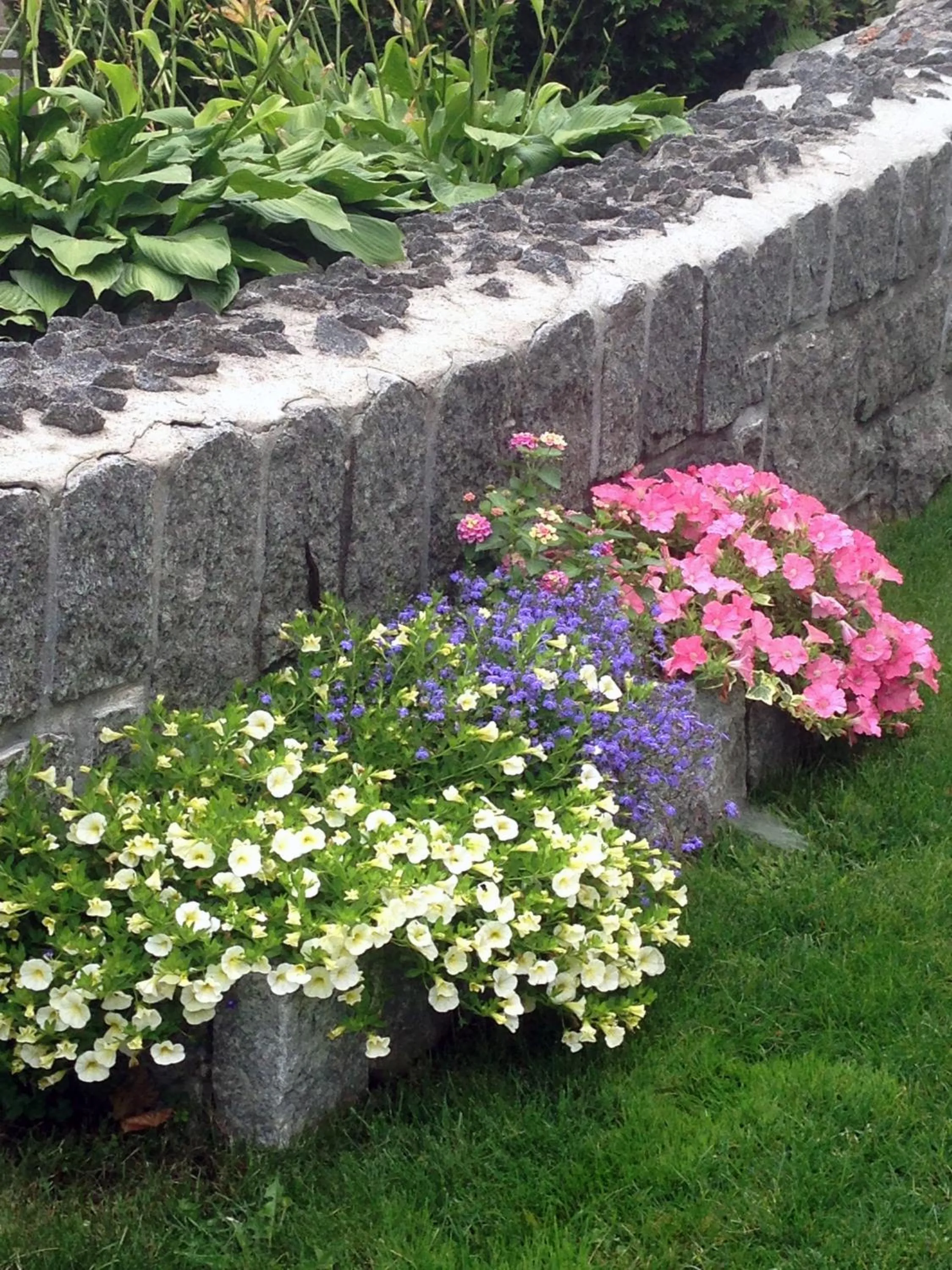 Garden in Moseley Cottage Inn and The Town Motel