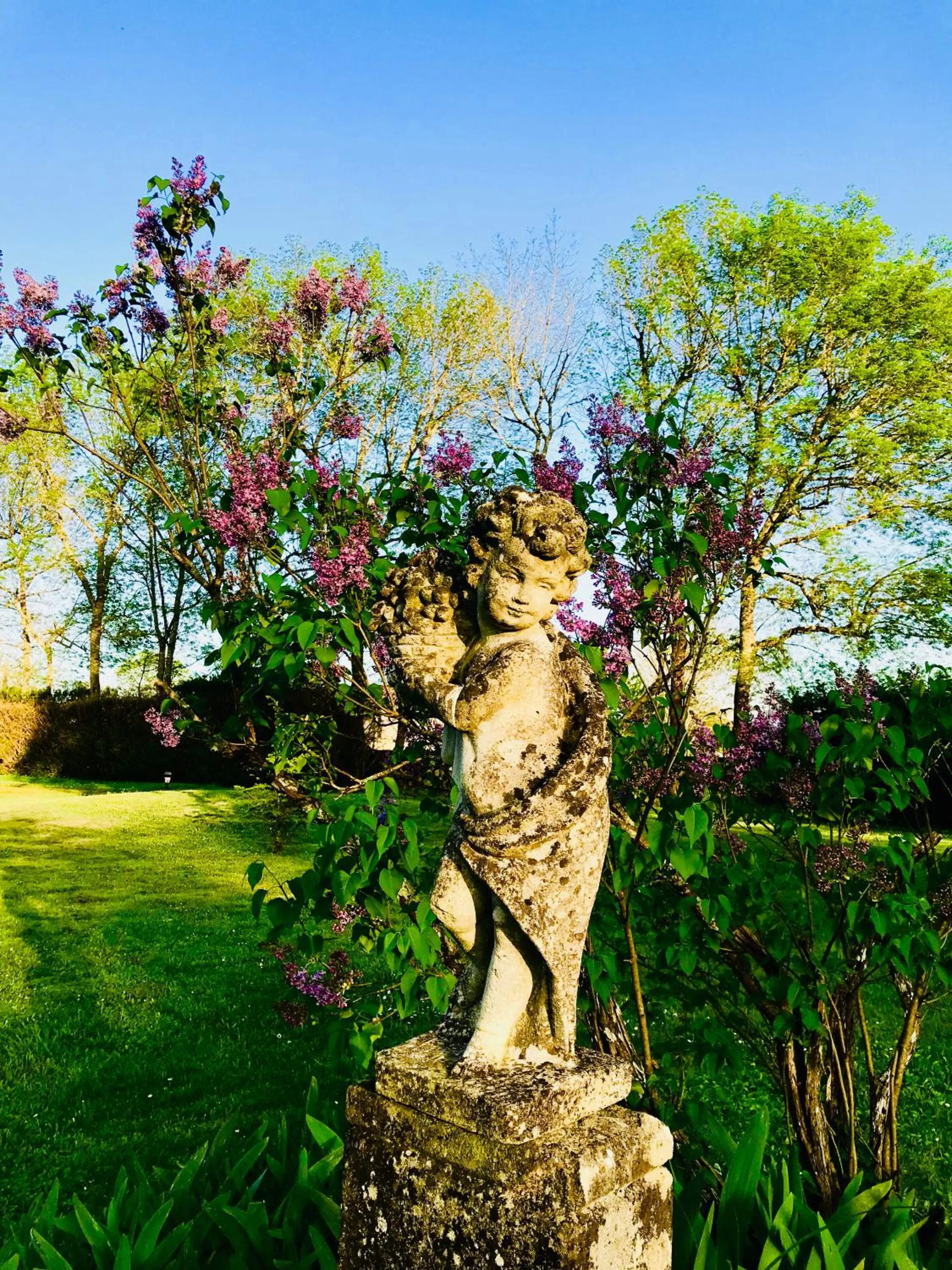 Garden in Château Meyre