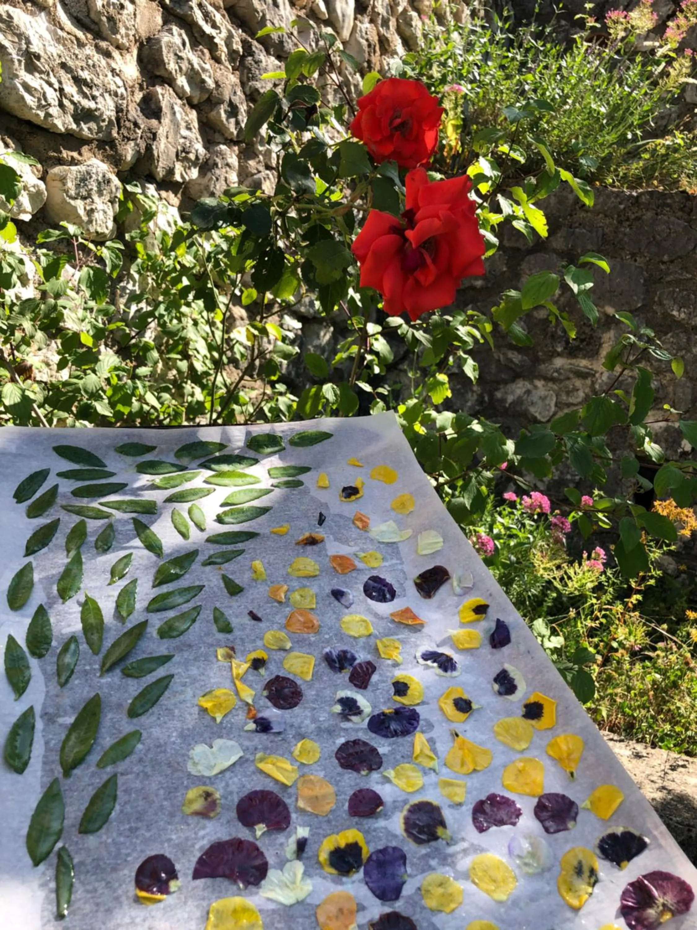 Restaurant/places to eat in Château de Trigance