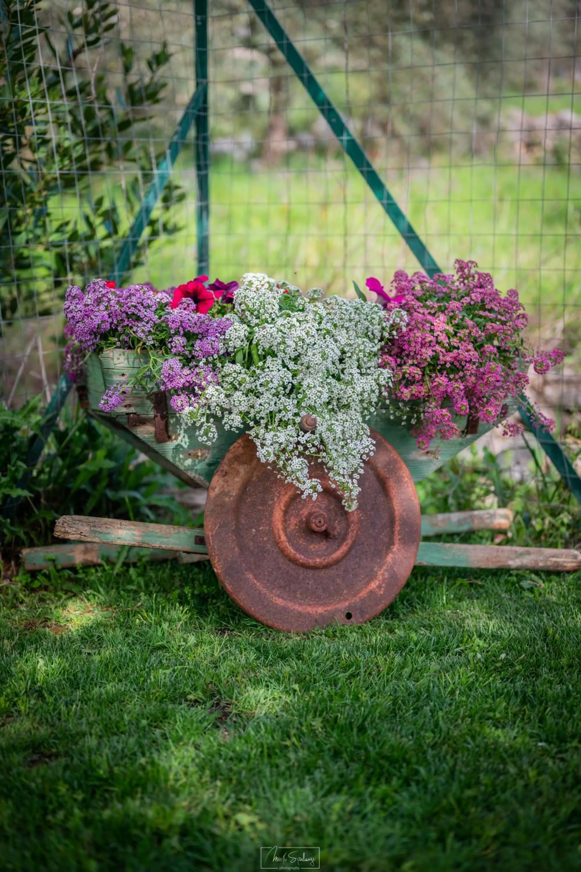Garden in Agriturismo Country Casale Rufo