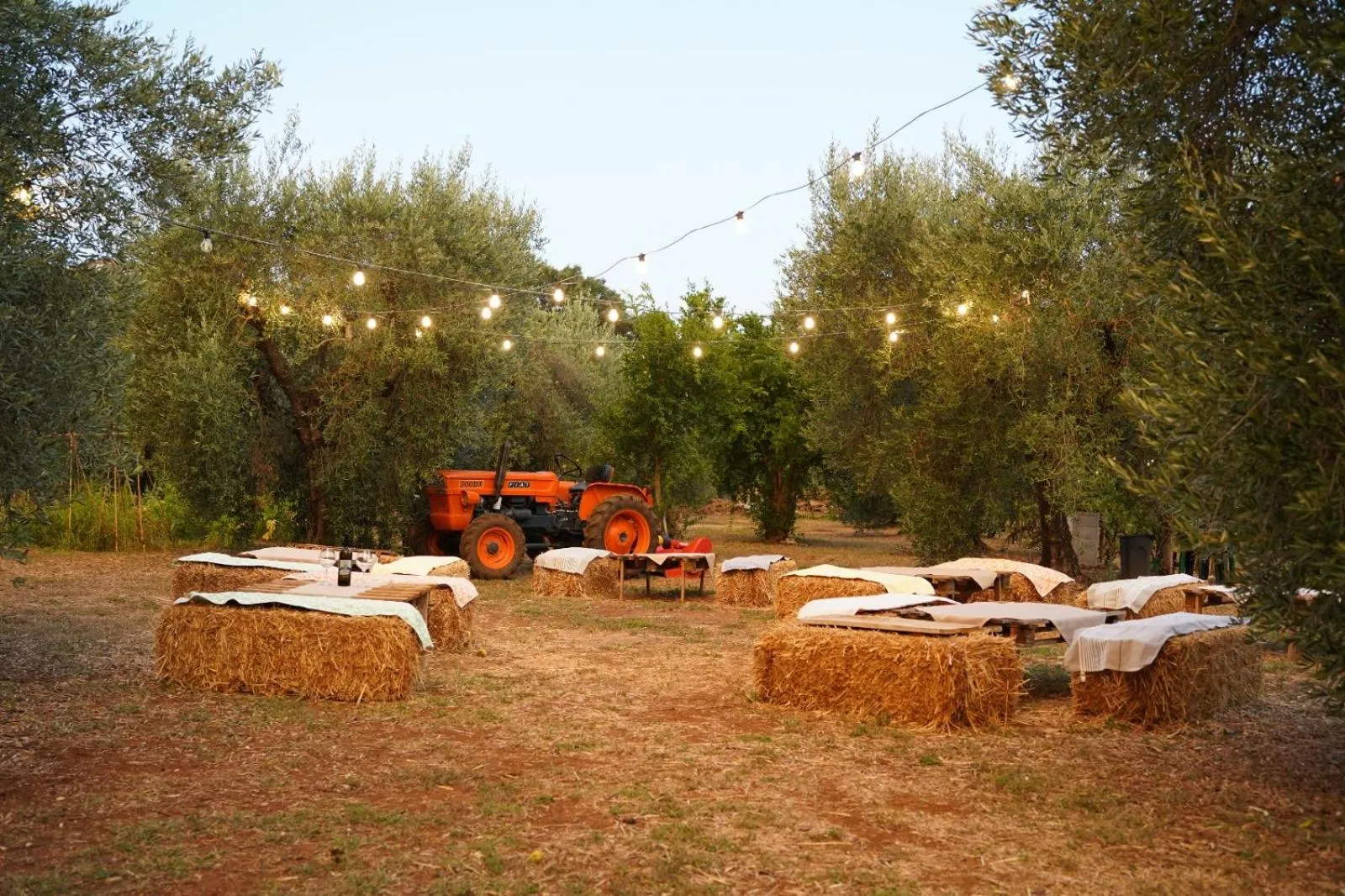 Natural landscape in Agriturismo Country Casale Rufo