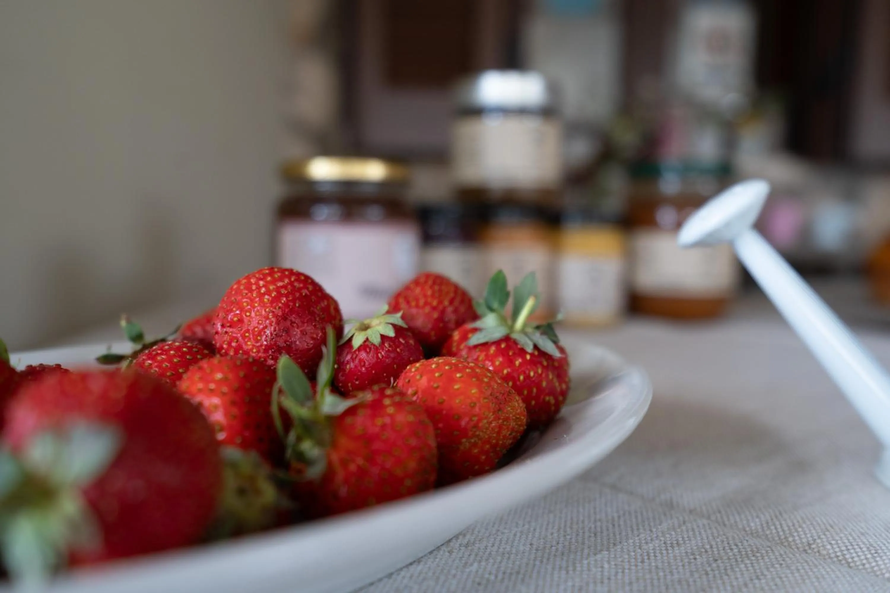 Breakfast in Agriturismo Country Casale Rufo