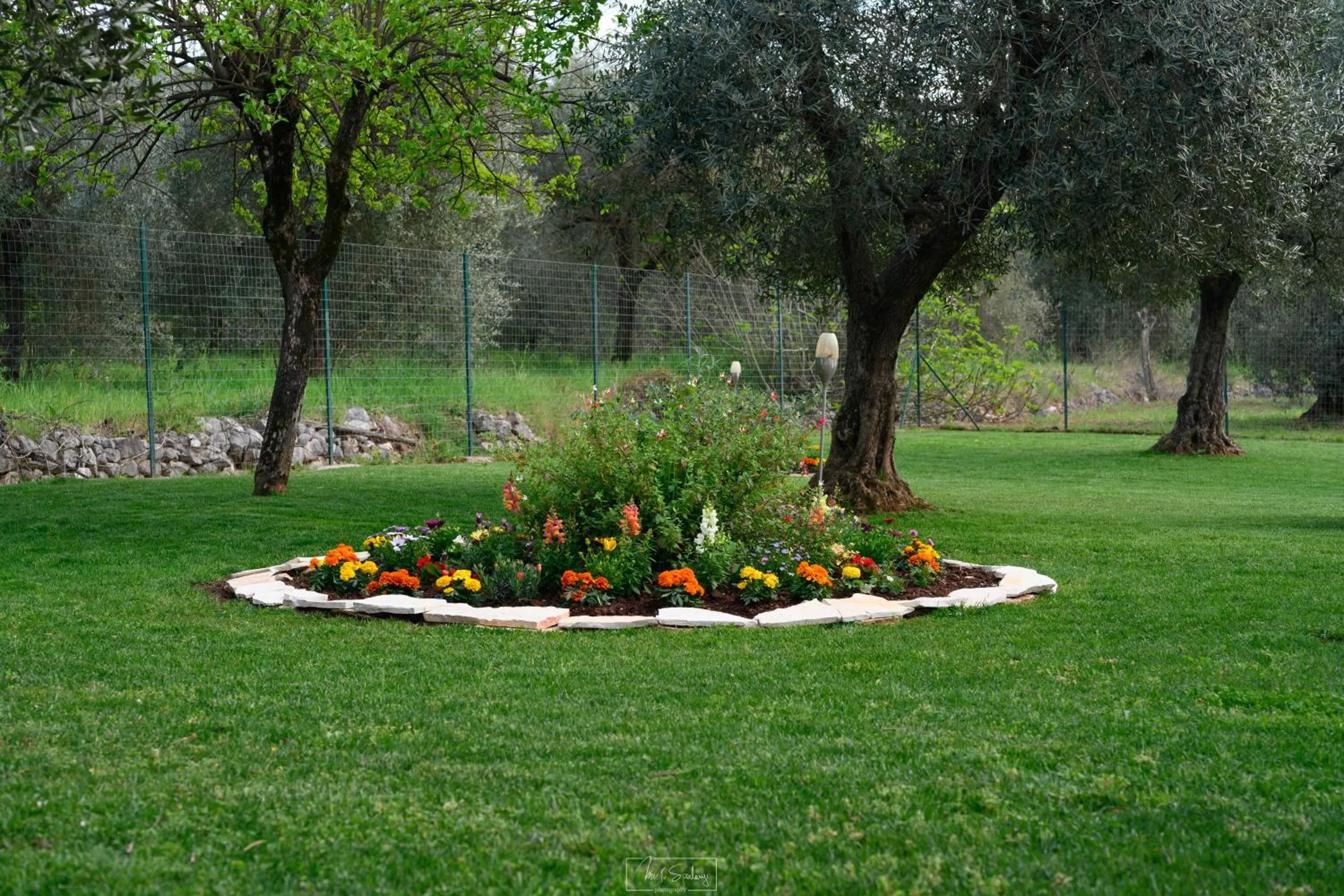 Garden in Agriturismo Country Casale Rufo