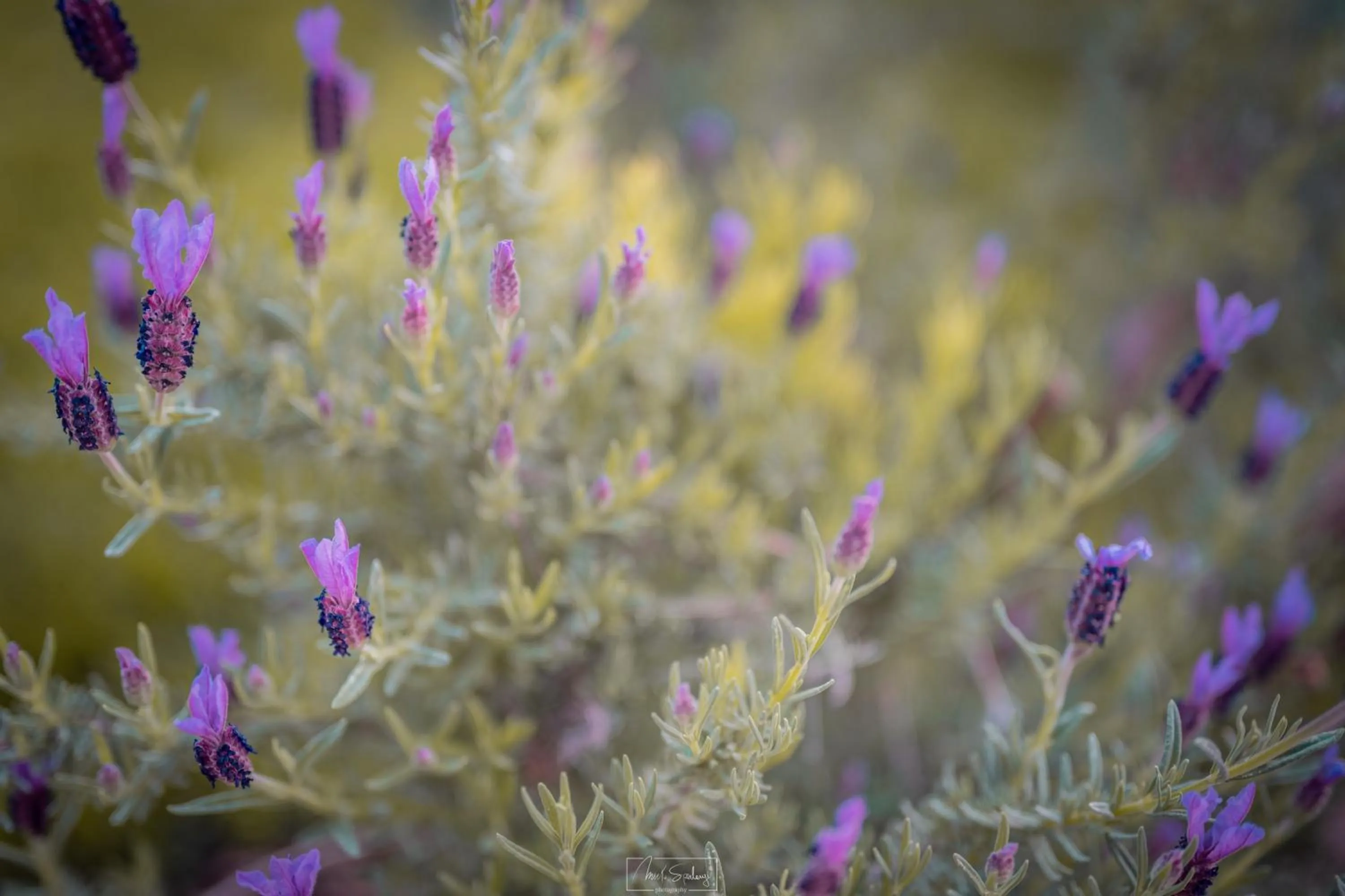 Natural landscape in Agriturismo Country Casale Rufo